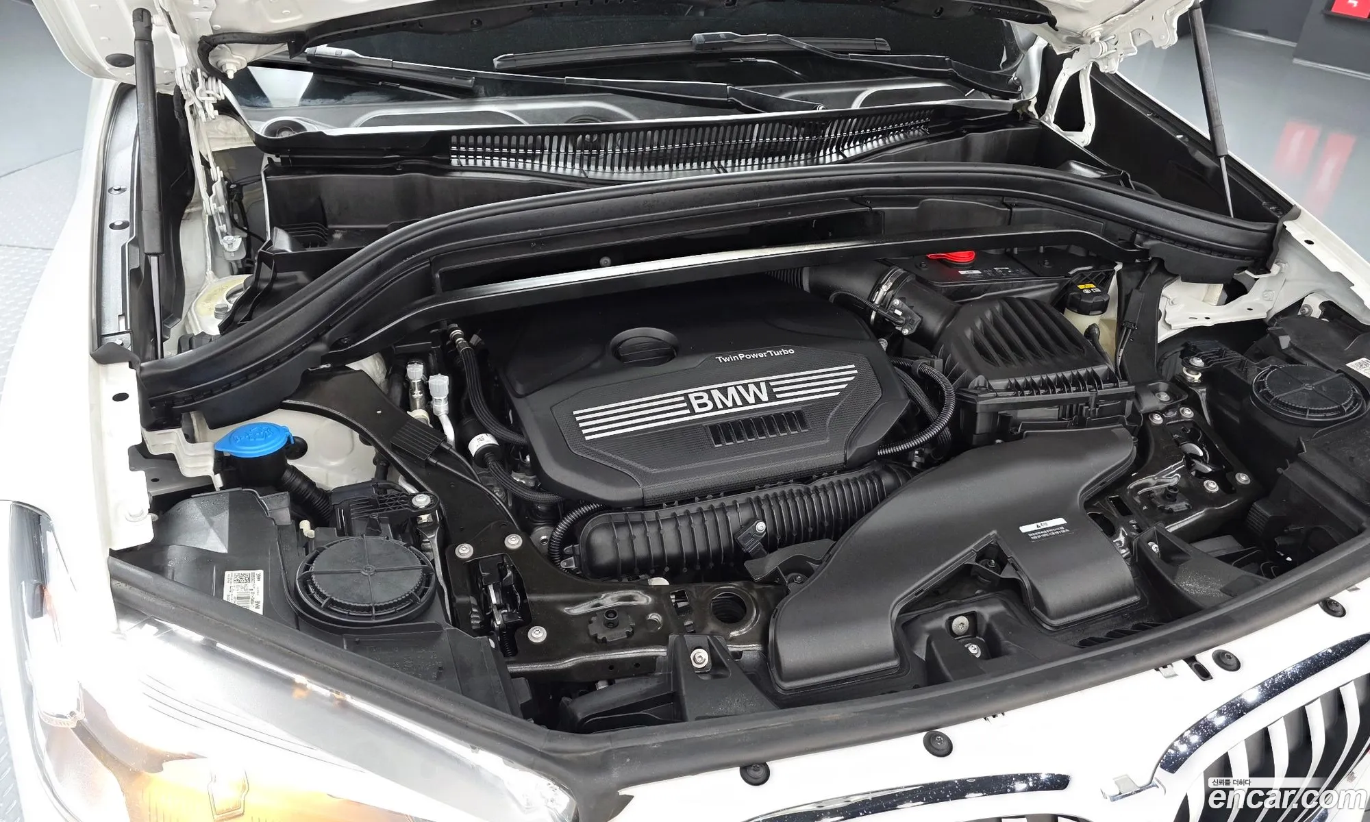 BMW X1 2022 WBA11DG09N5V29761 — 6