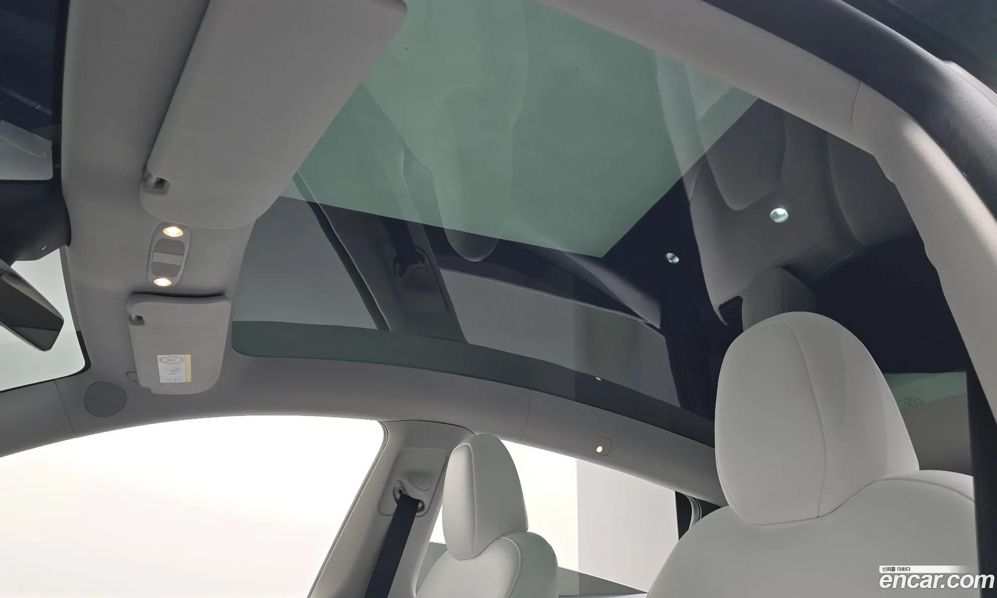 Tesla Model Y 2023 LRWYGCFS7RC176917 — 12