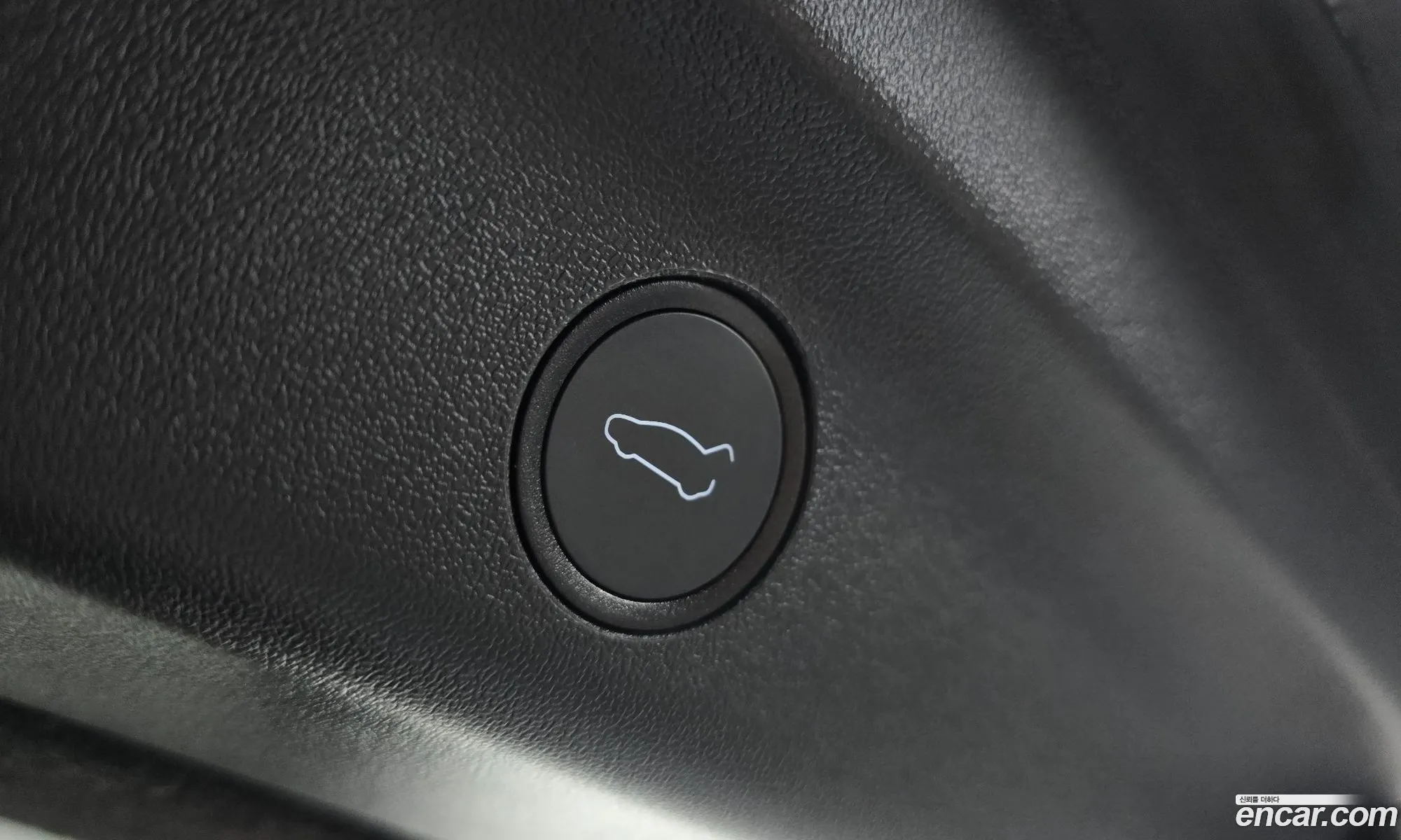 Tesla Model Y 2023 LRWYGCFS7RC176917 — 10