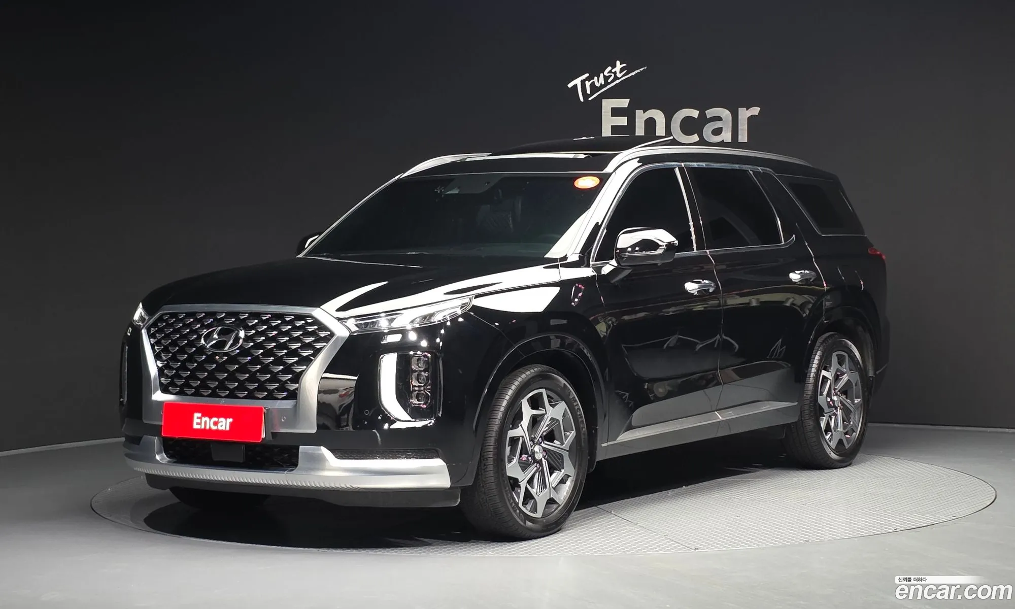 Hyundai Palisade 2021 — 12