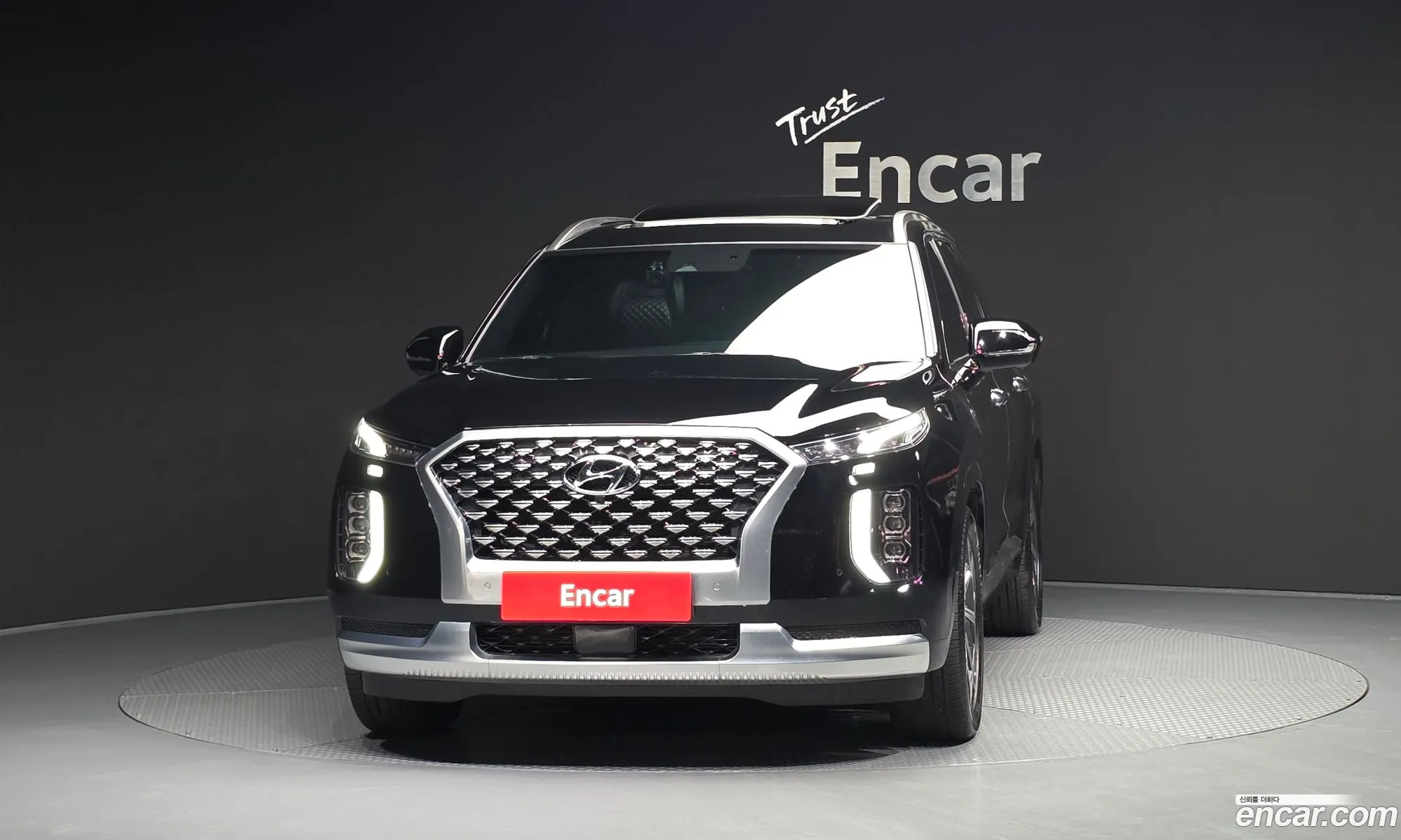 Hyundai Palisade 2021 — 8