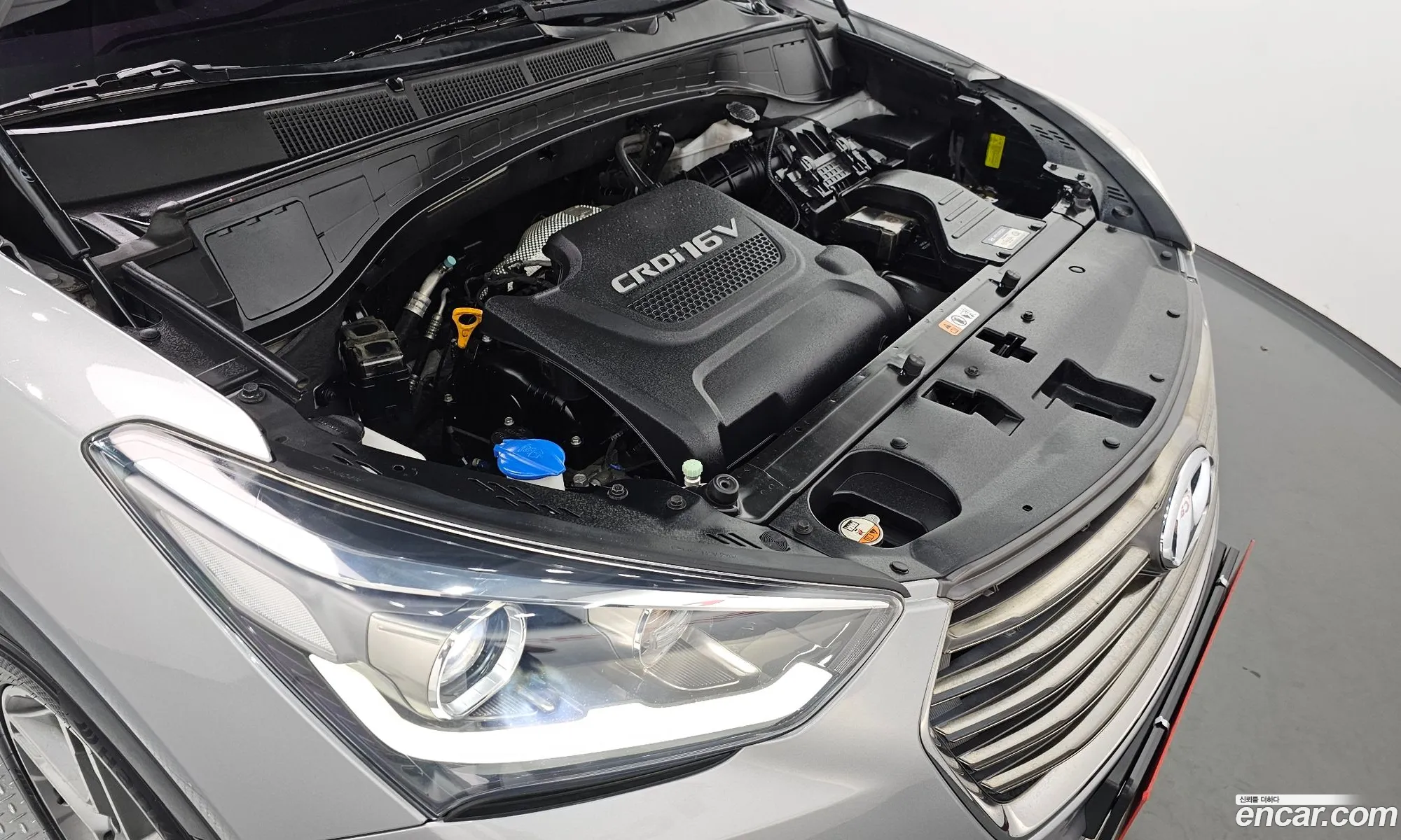 Hyundai Maxcruz 2018 — 12