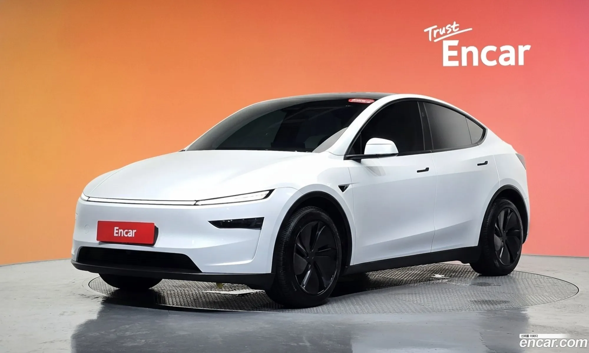 Tesla Model Y 2025 LRWYGCFJXSC134870 — 29