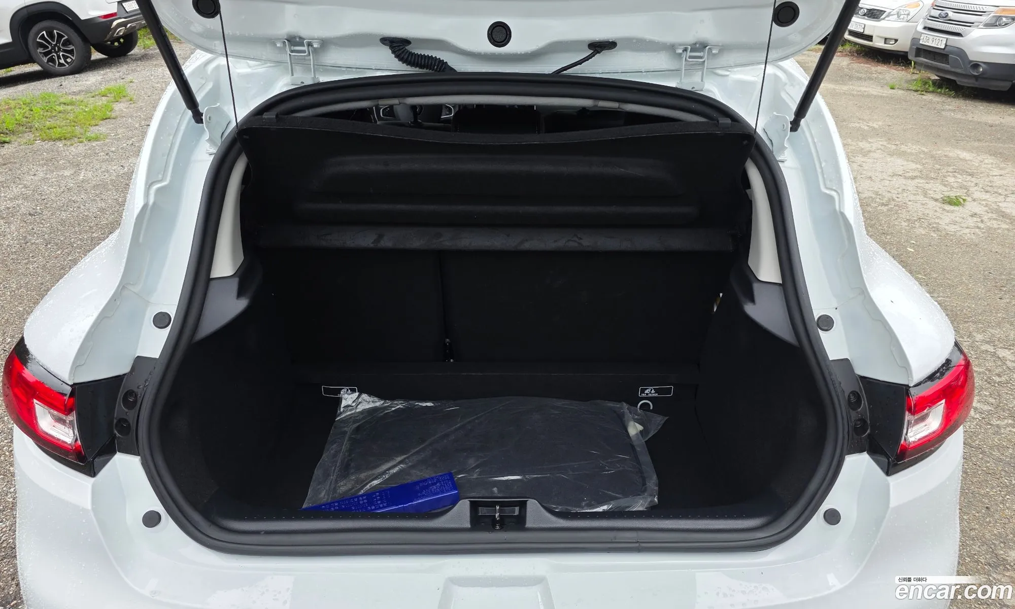 Renault Korea (Samsung) Clio 2018 — 12