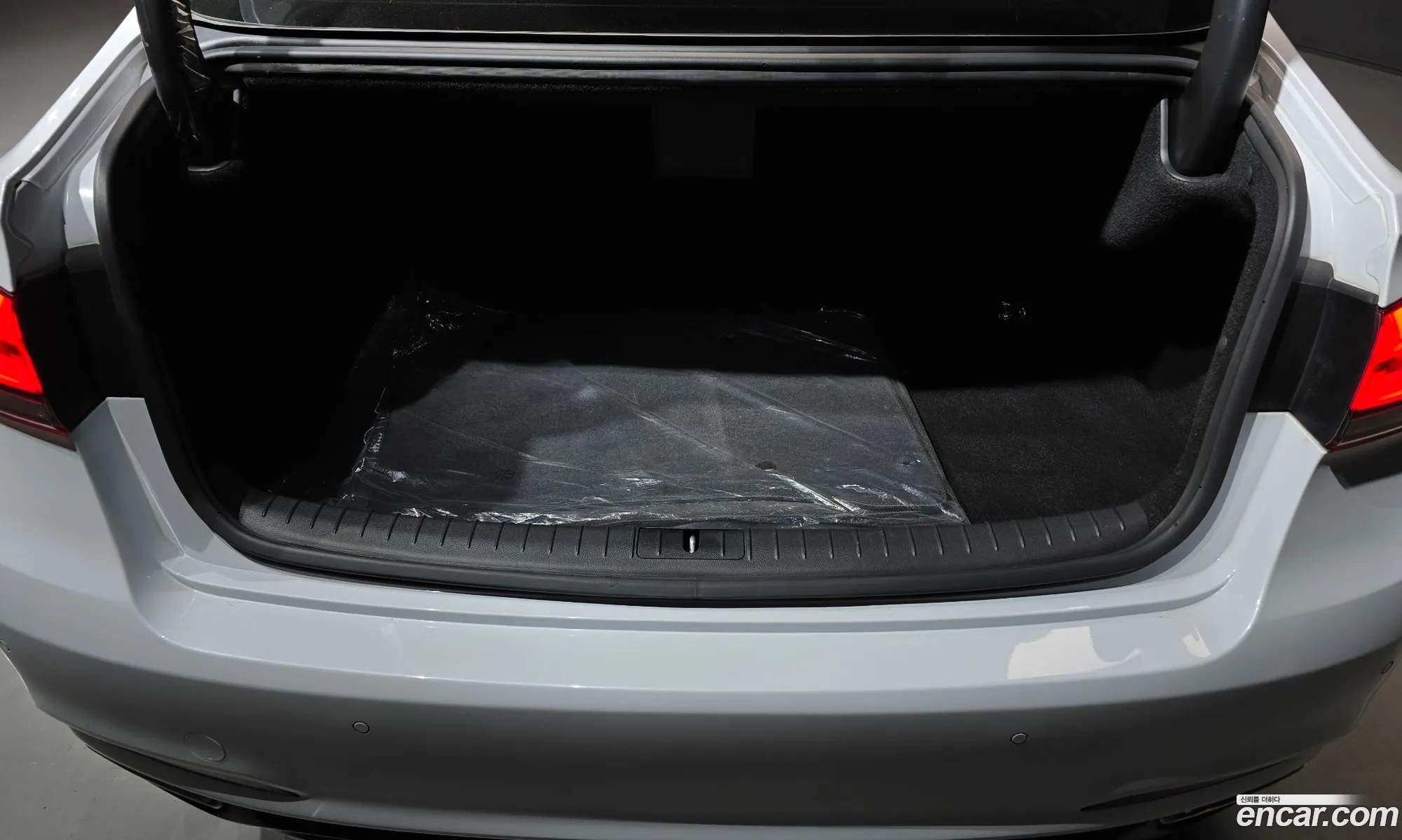 Genesis G80 2018 KMHGL41DBJU290229 — 17