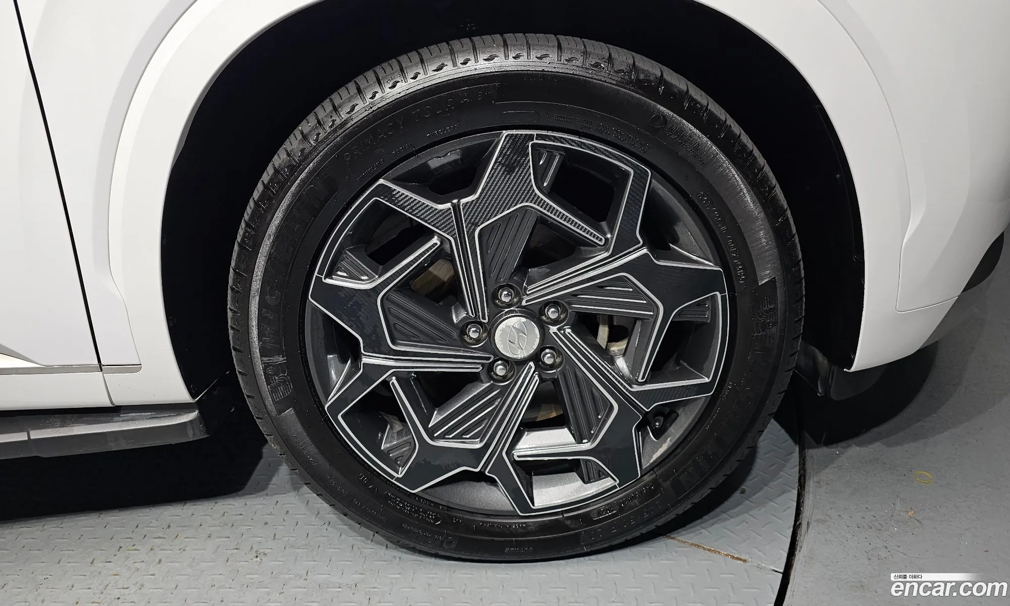 Hyundai Palisade 2021 KMHR581ADNU400176 — 12
