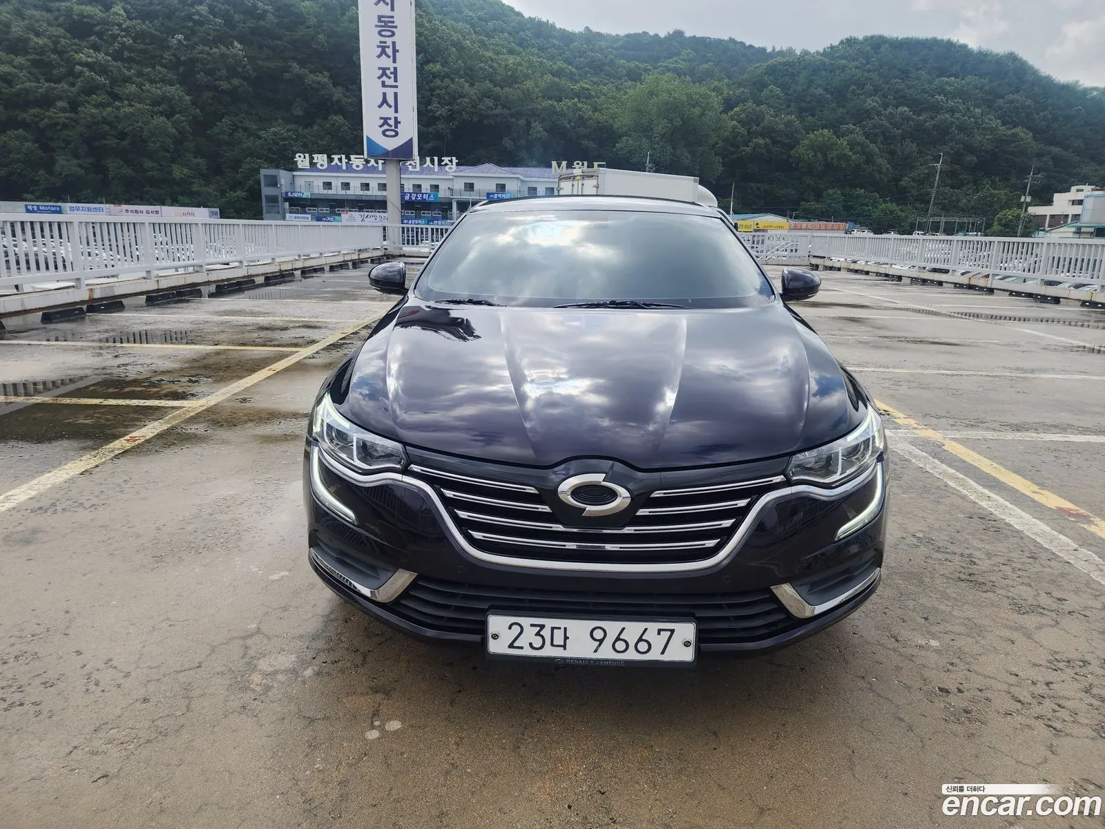 Renault Korea (Samsung) SM6 2017 — 5
