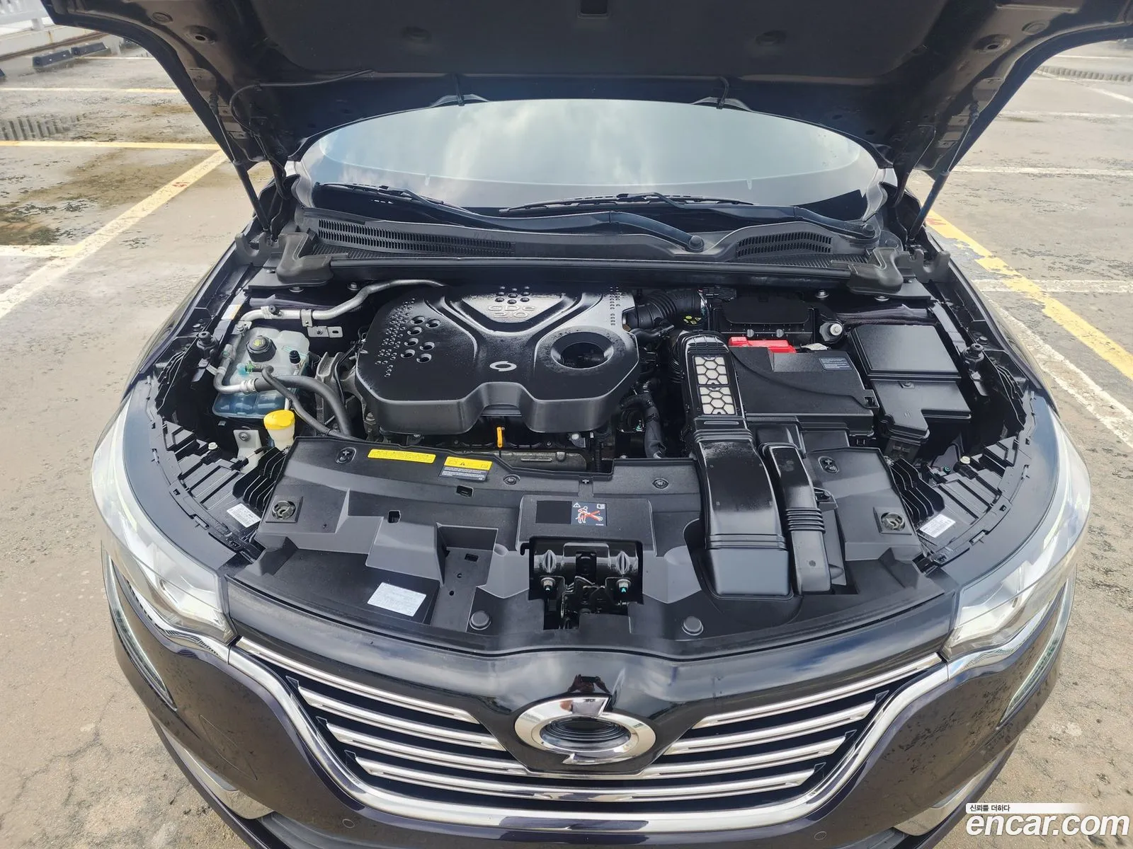 Renault Korea (Samsung) SM6 2017 — 12