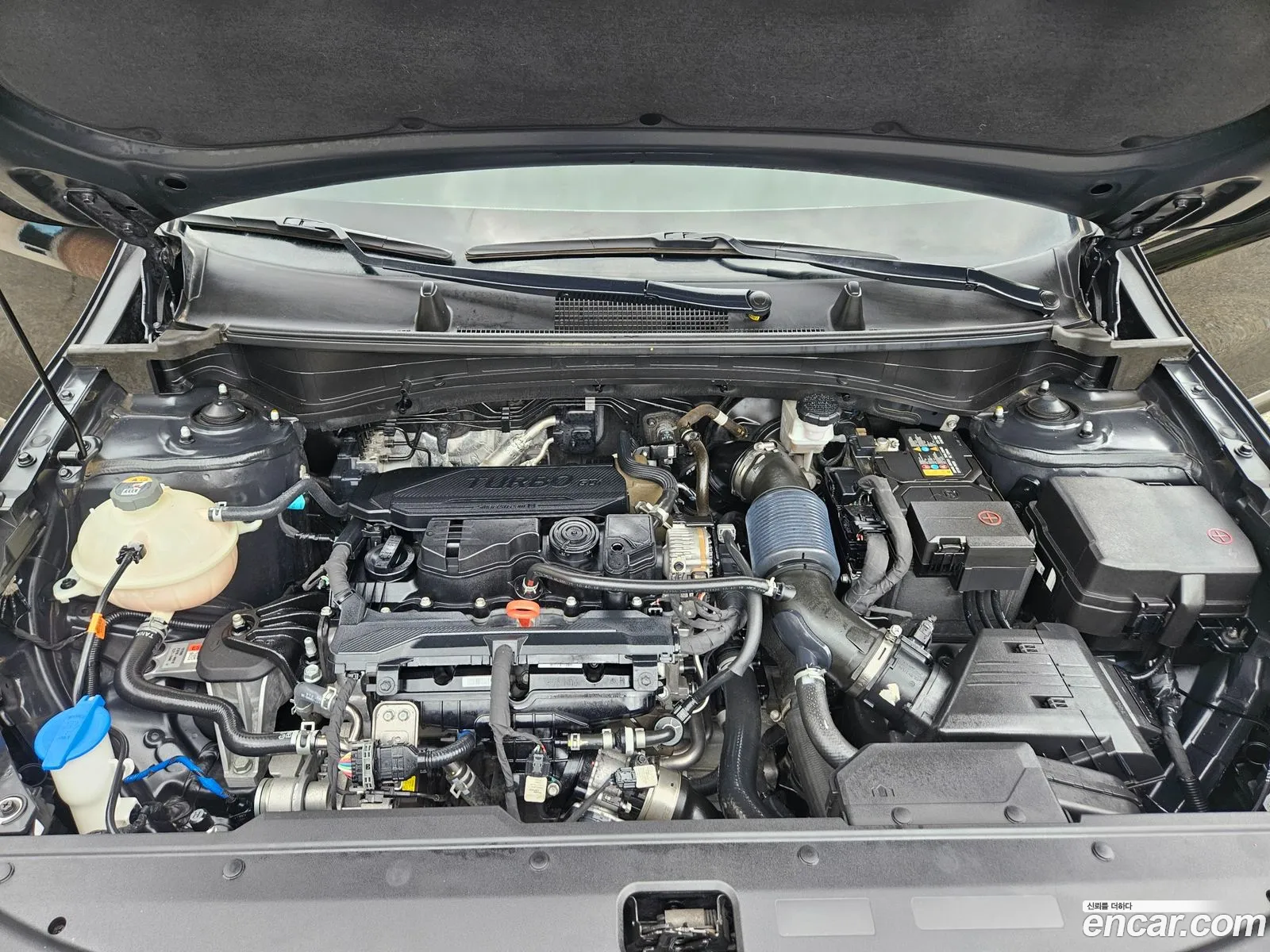 Kia Sportage 2022 — 2