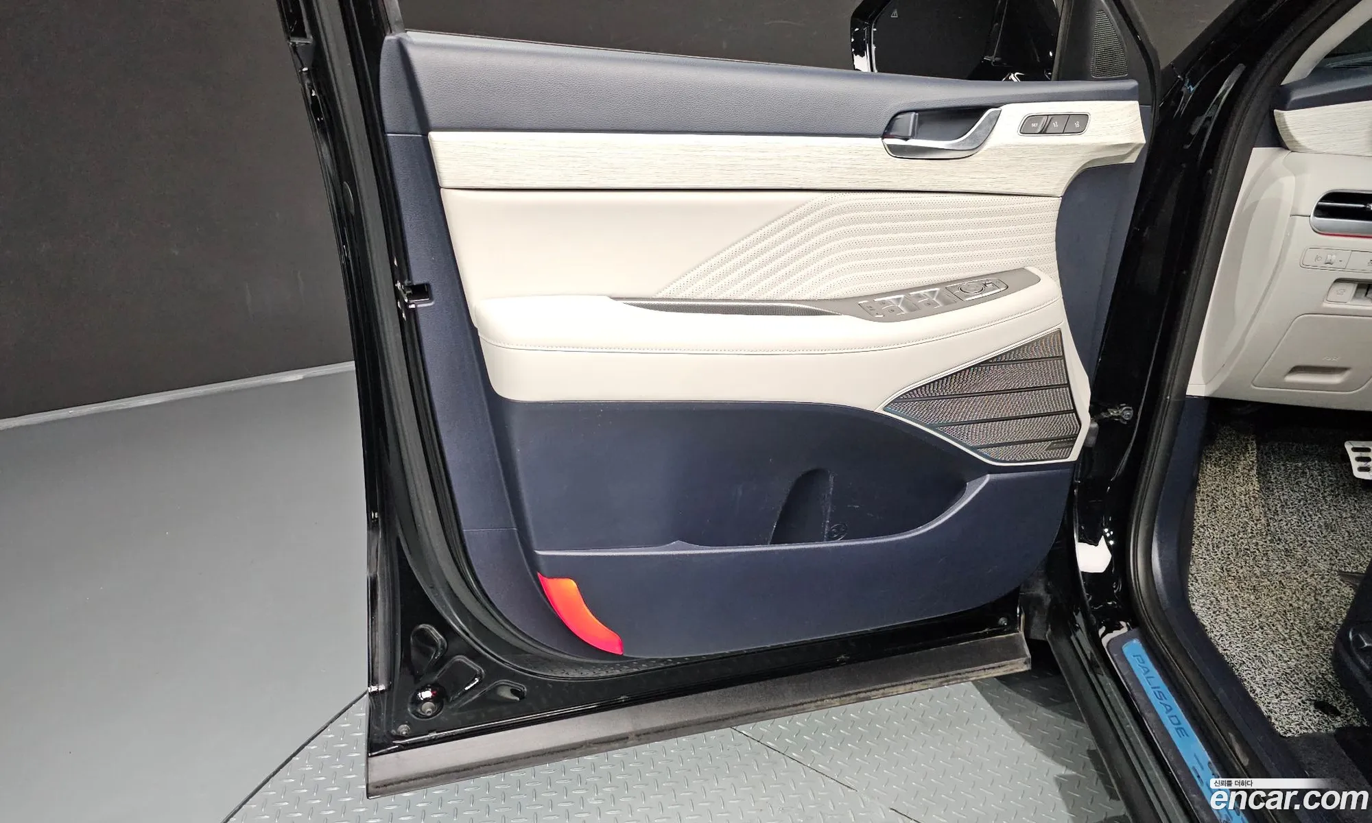 Hyundai Palisade 2023 KMHR581EDPU637806 — 25
