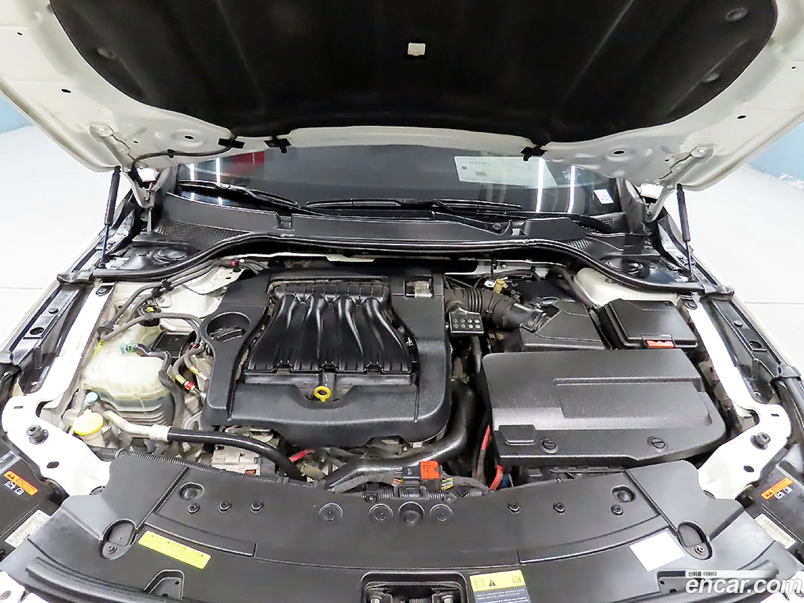 Renault Korea (Samsung) SM7 Nova 2018 — 10