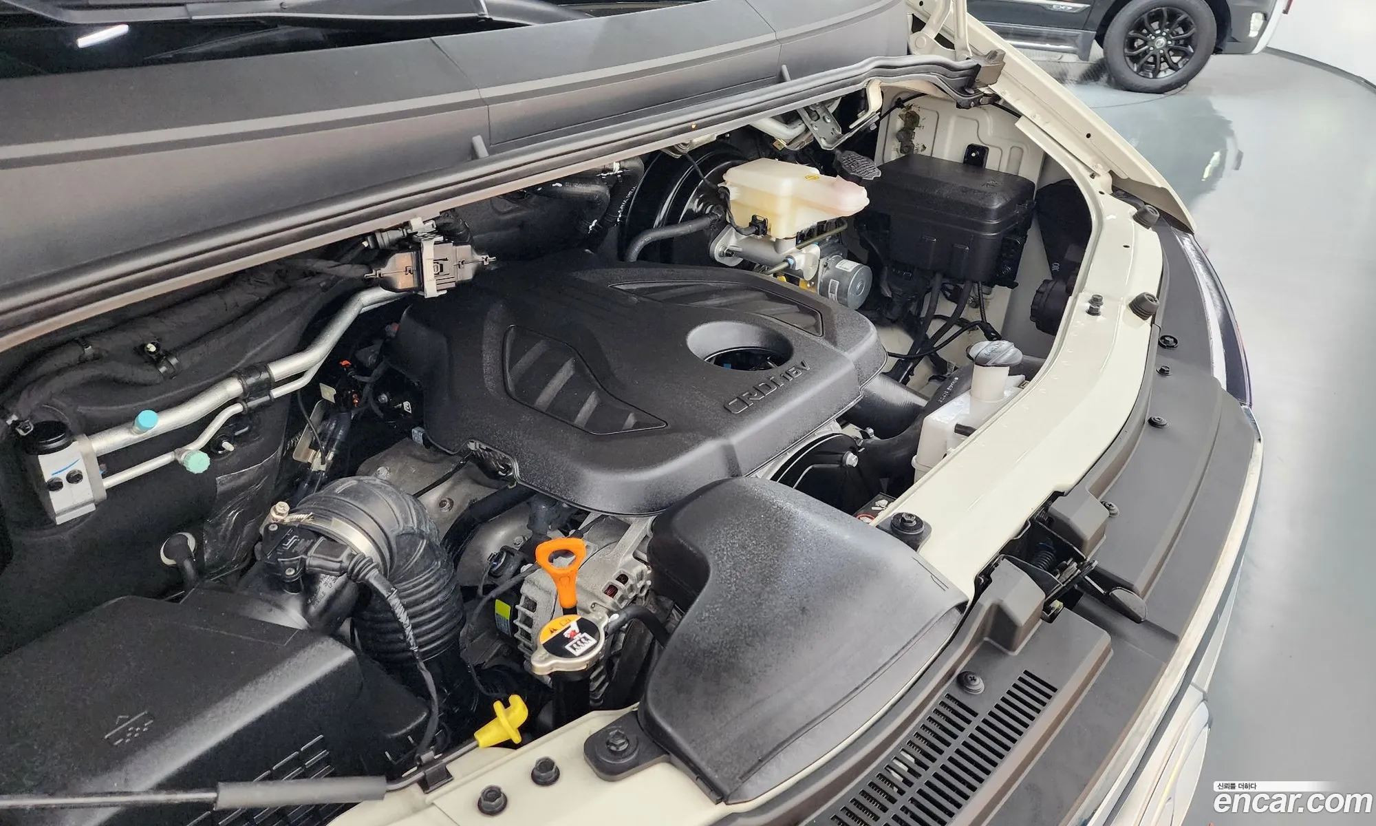 Hyundai Solati 2024 KMJUG17RPSC007933 — 27