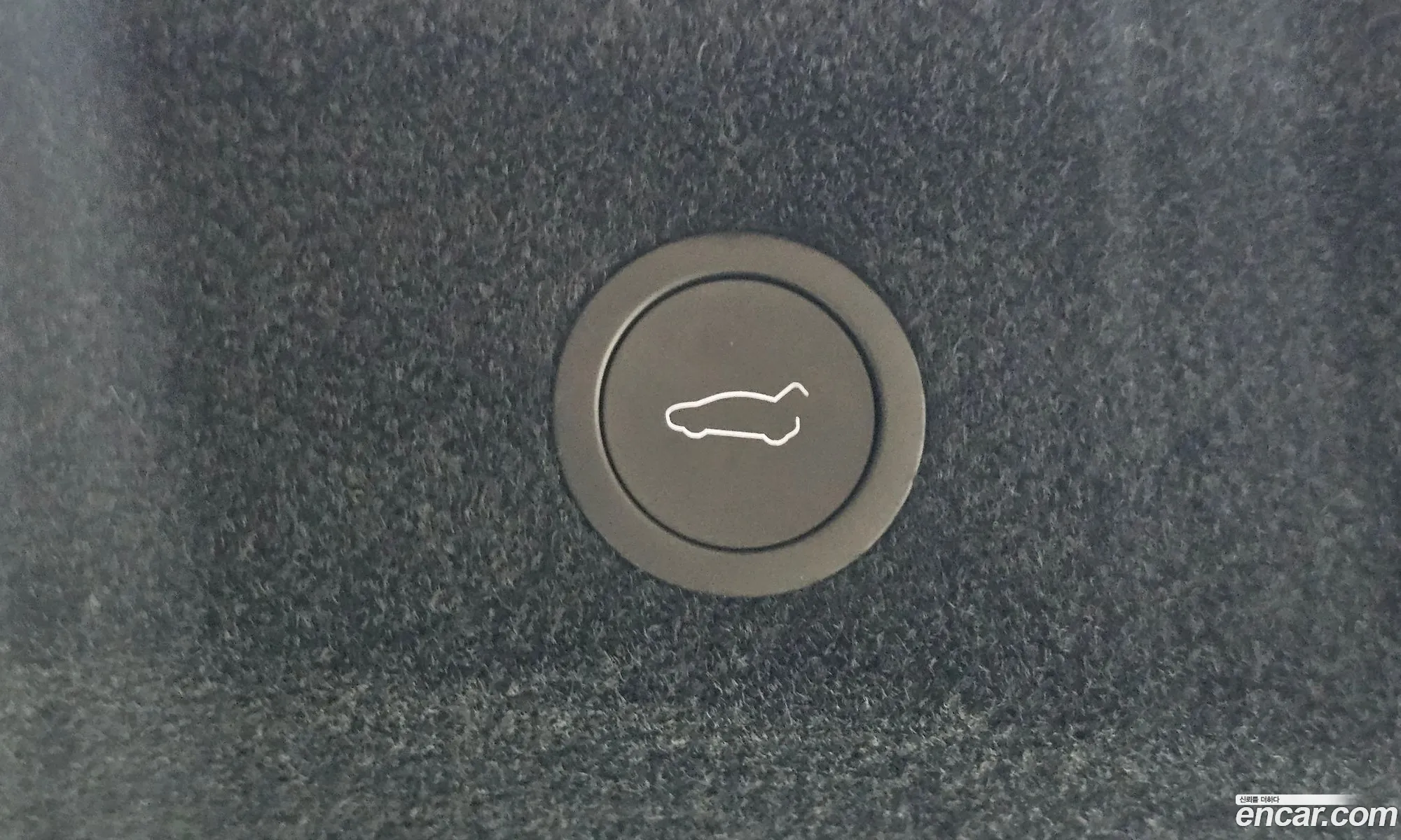 Tesla Model Y 2025 LRWYGCFJ5SC342235 — 31