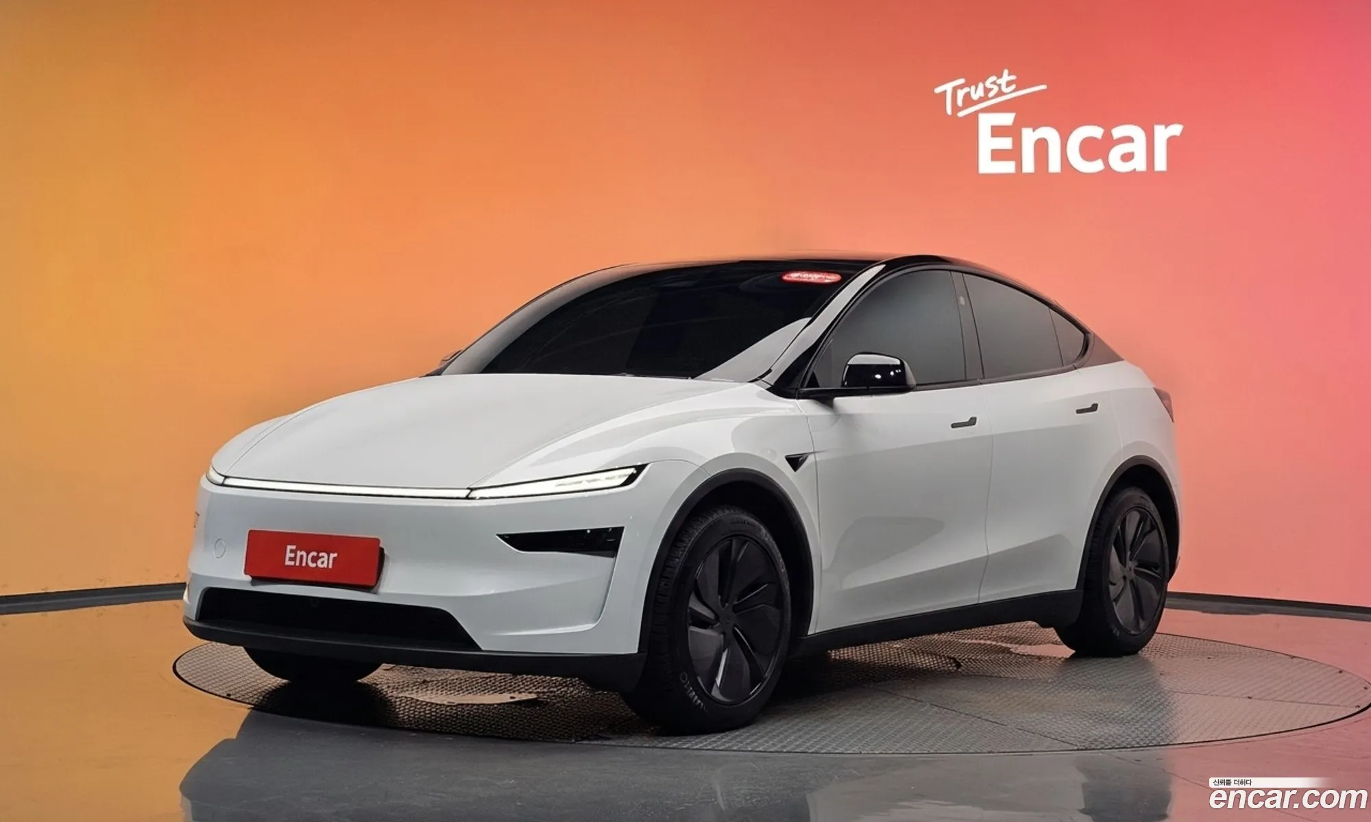 Tesla Model Y 2025 LRWYGCFJ5SC342235 — 33