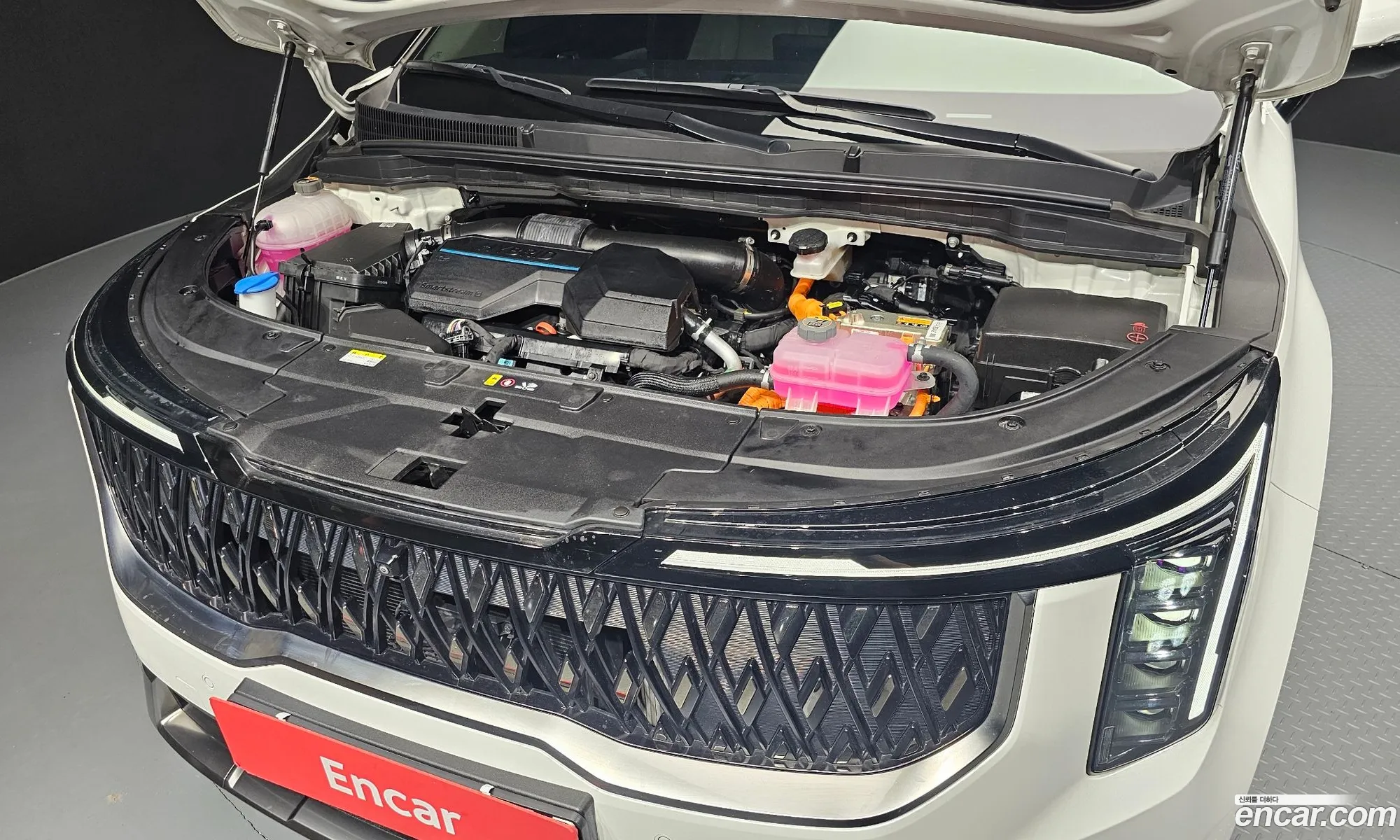 Kia Carnival 2024 KNANE81ABSS025933 — 9