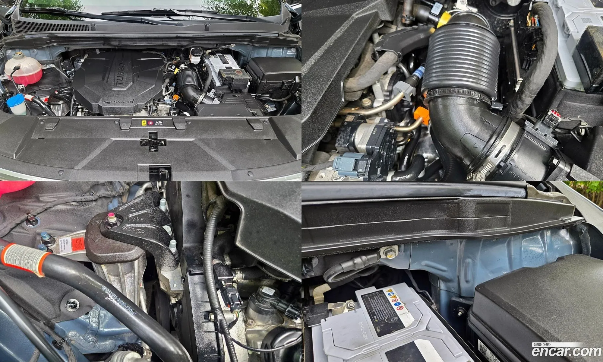Kia Carnival 2021 — 2