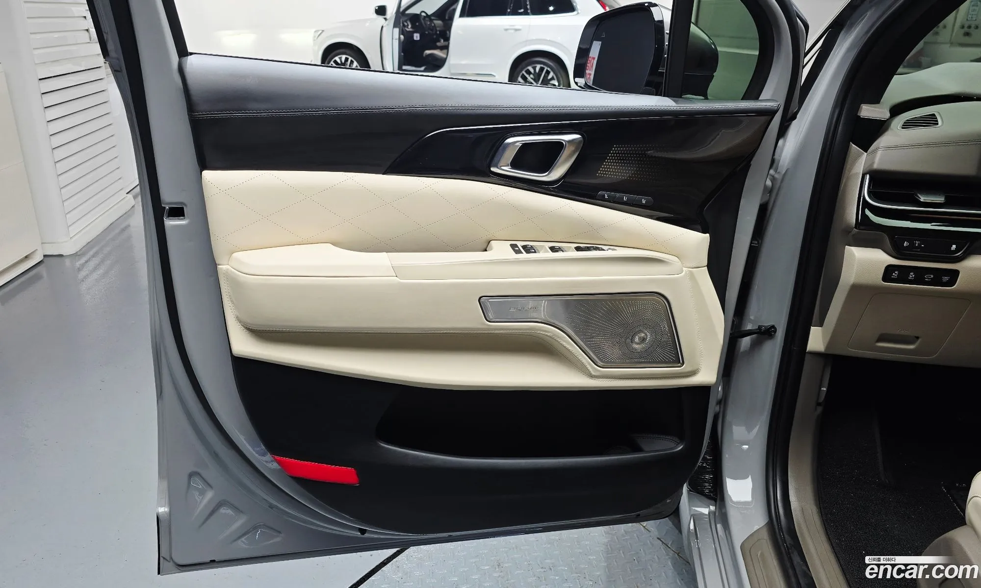 Kia Carnival 2024 — 29