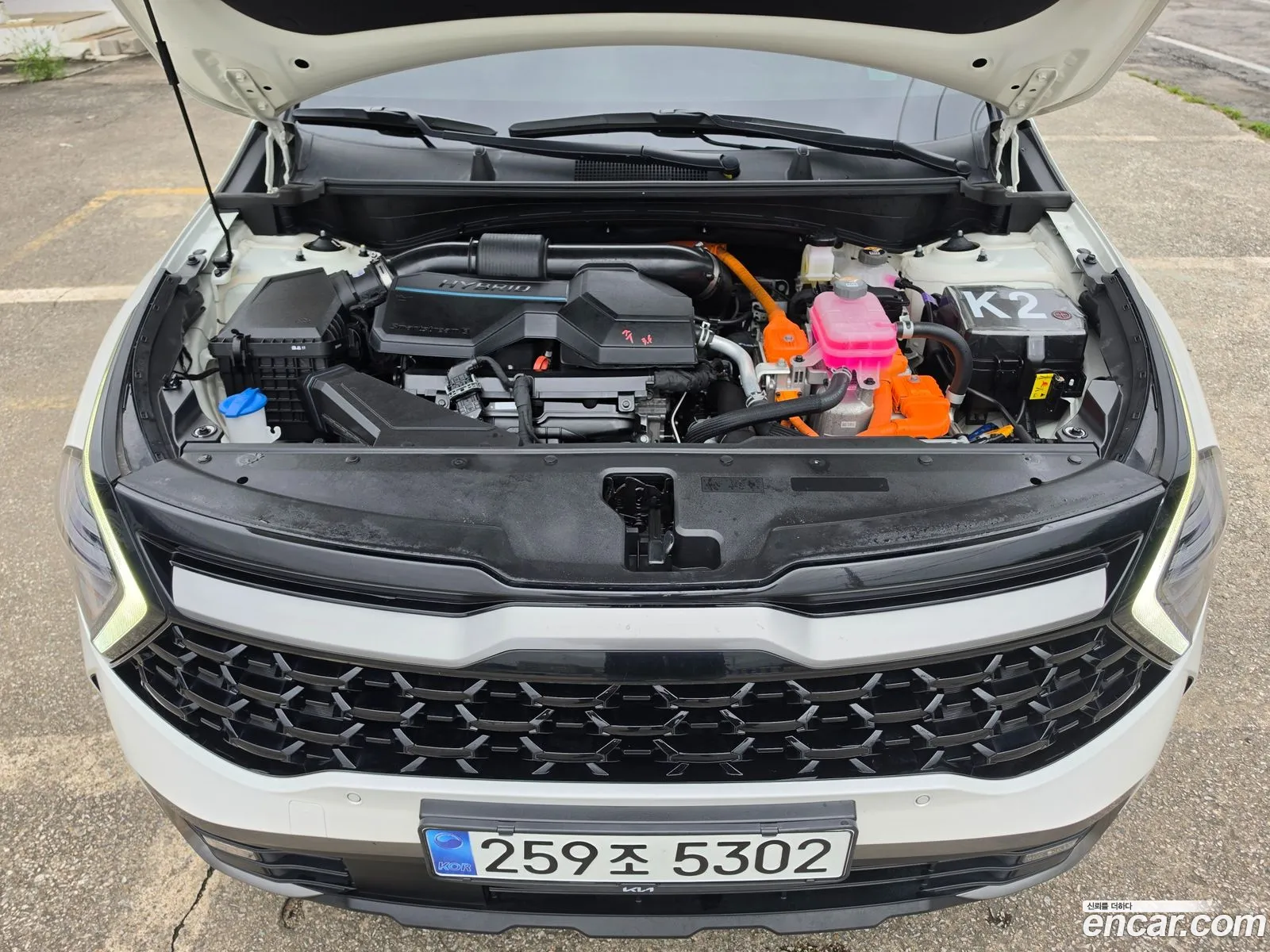 Kia Sportage Hybrid 2024 — 2