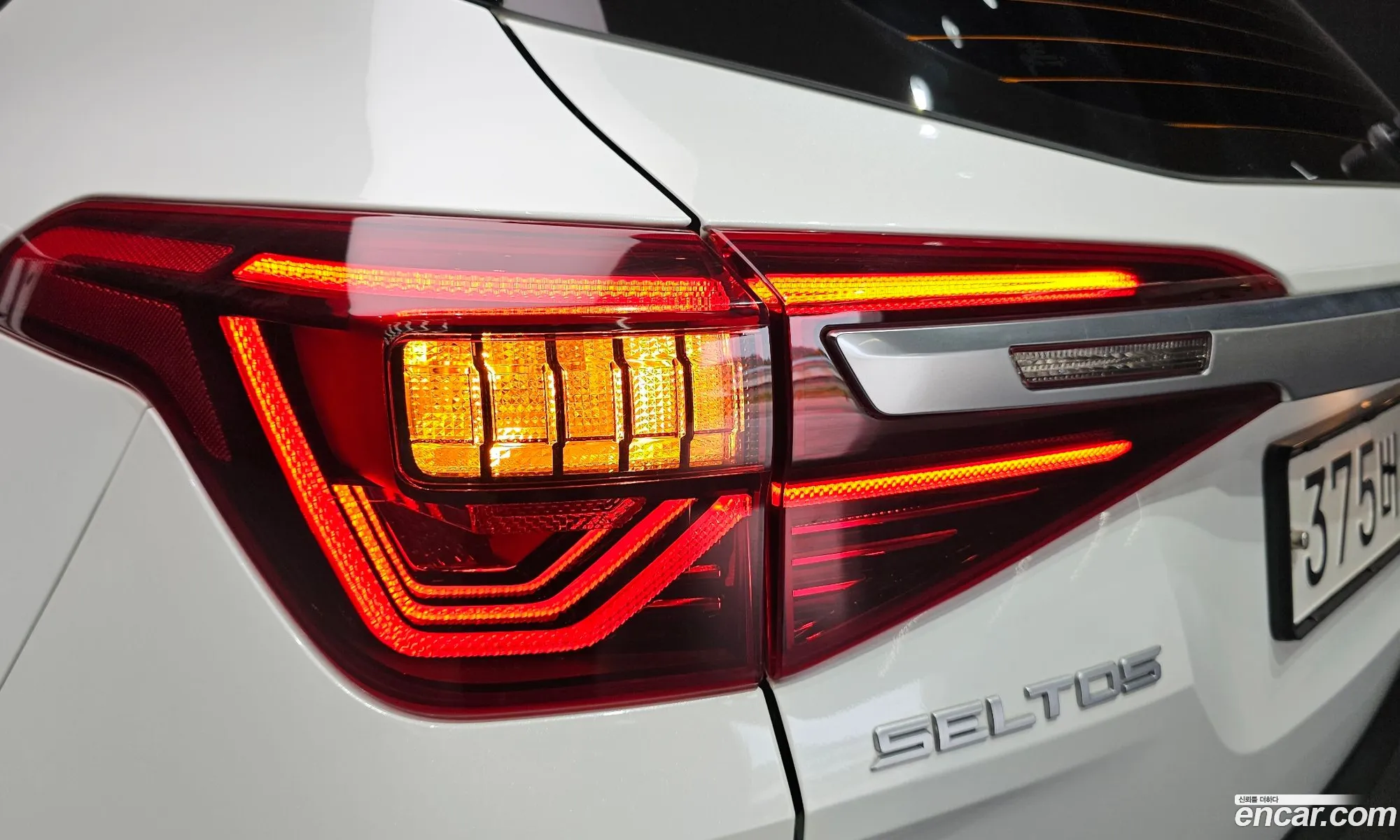 Kia Seltos 2022 KNAET812GPK339685 — 19