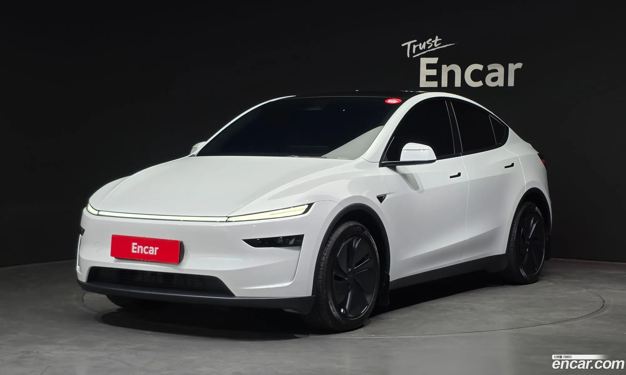 Tesla Model Y 2025 LRWYGCFJ8SC064821 — 13