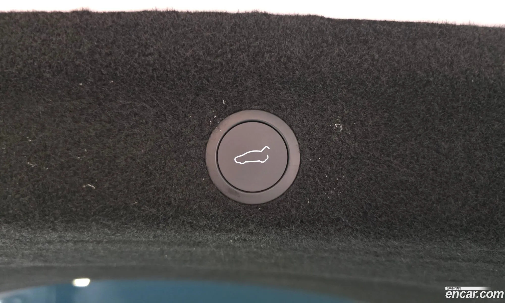 Tesla Model Y 2025 LRWYGCFJ8SC064821 — 10