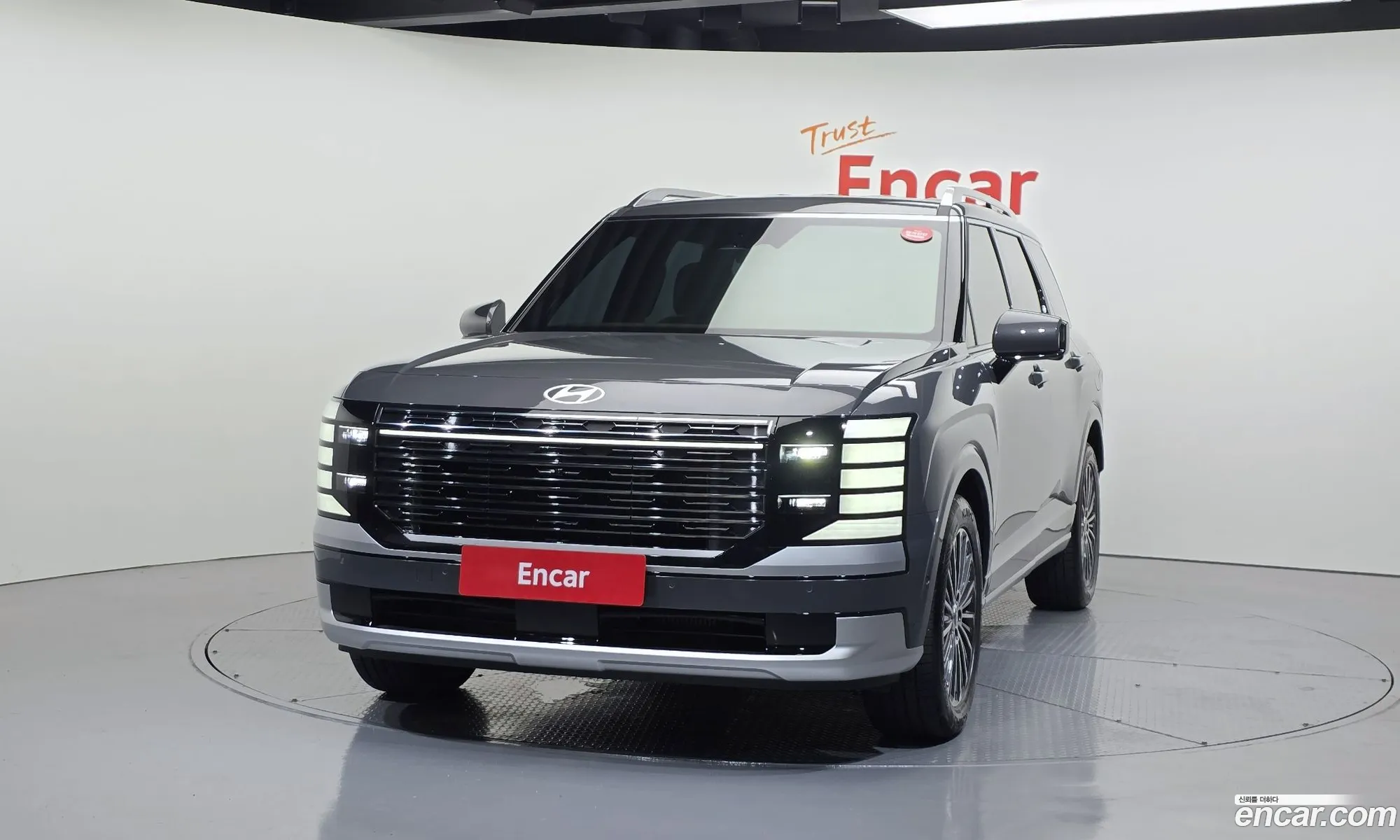 Hyundai Palisade 2025 KMHRK81ABTU054260 — 20