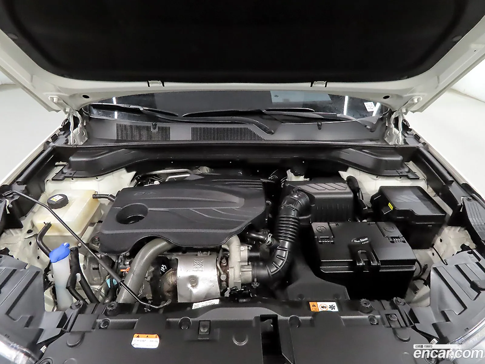 KG Mobility (SsangYong) Beautiful Korando 2021 — 5