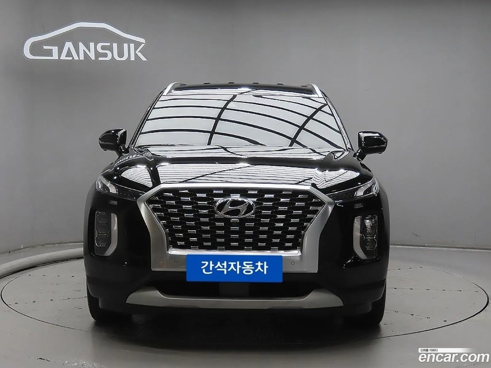Hyundai Palisade 2021 — 19