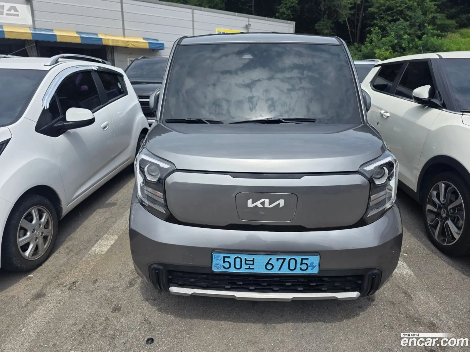 Kia Kia Ray EV 2024 — 3
