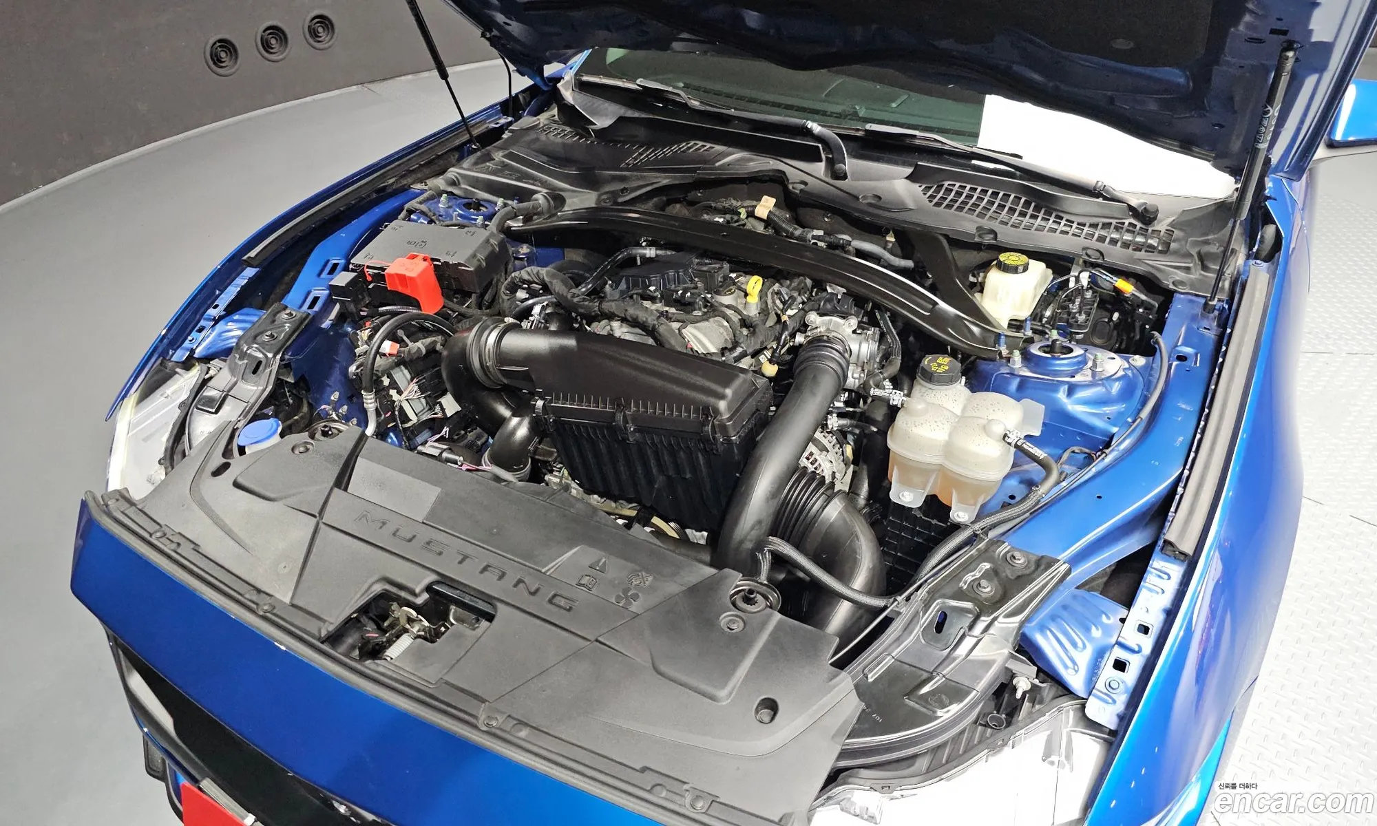 Ford Mustang 7th Gen 2024 — 20