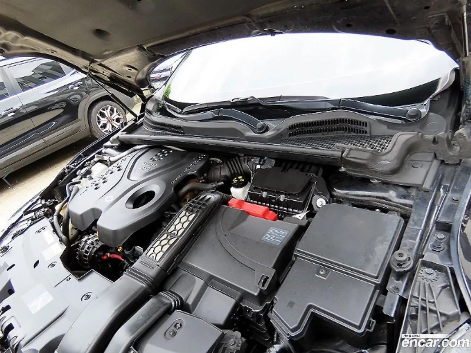Renault Korea (Samsung) SM6 2018 — 13