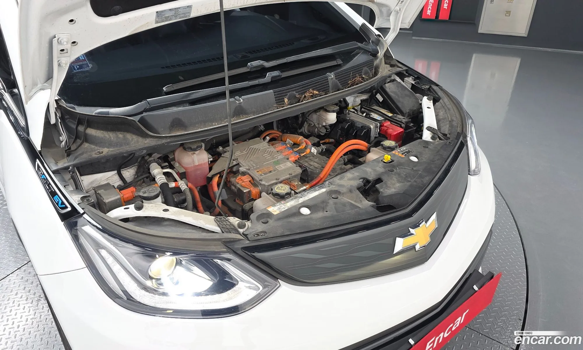 Chevrolet (GM Daewoo) Bolt EV 2019 1G1F76E02K4133350 — 7