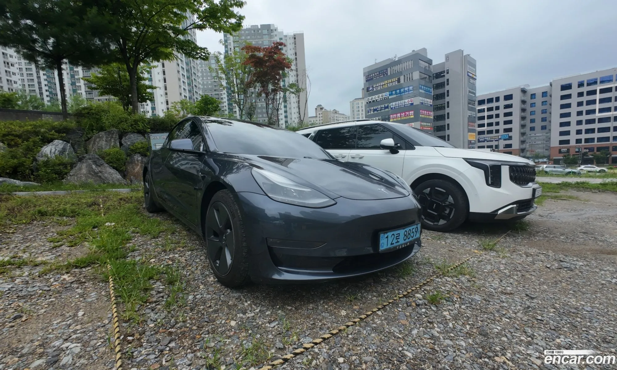 Tesla Model 3 2021 — 5