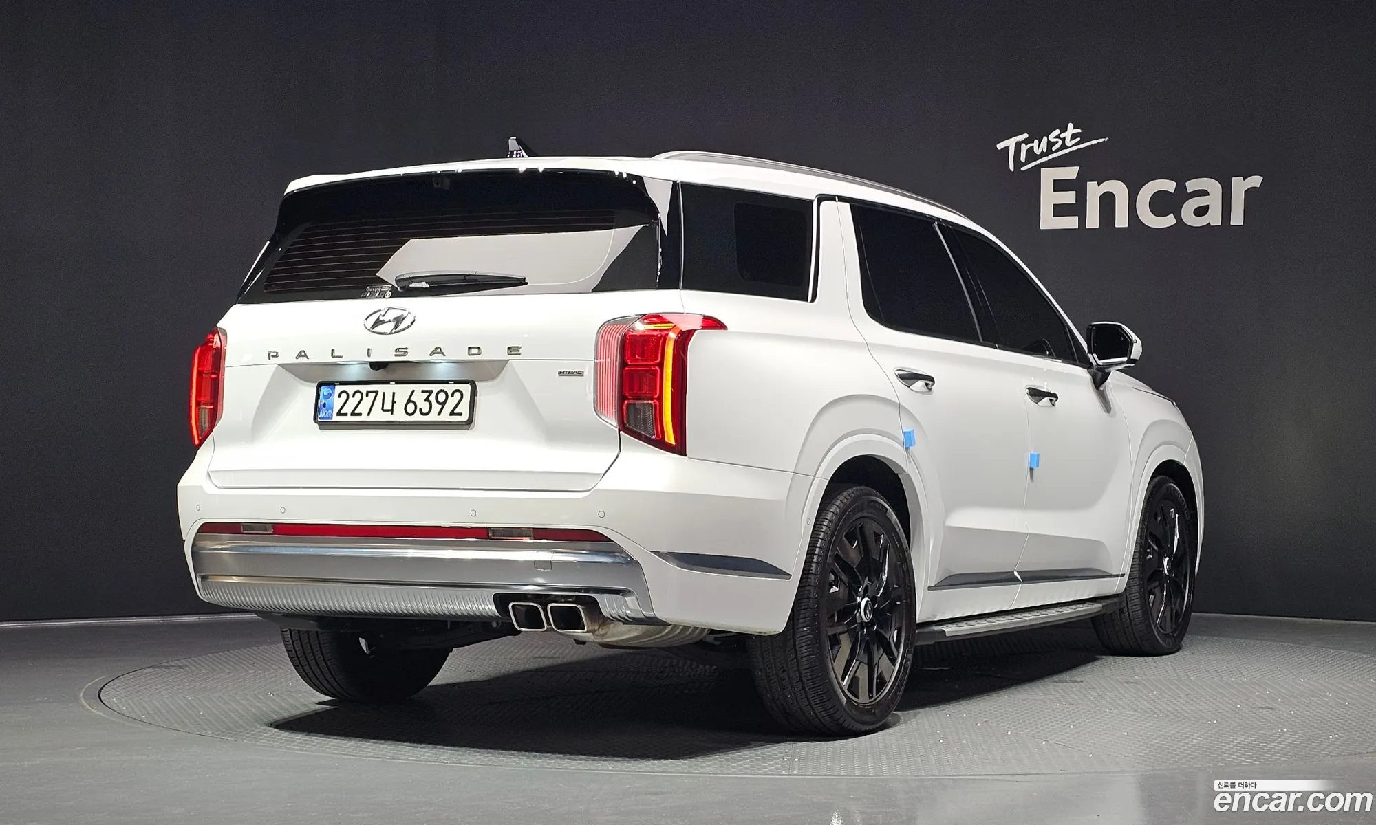 Hyundai Palisade 2024 — 19