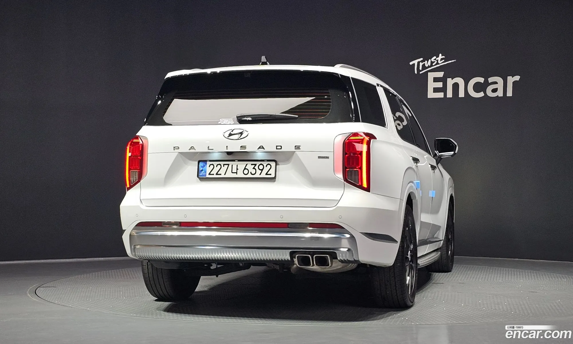 Hyundai Palisade 2024 — 25