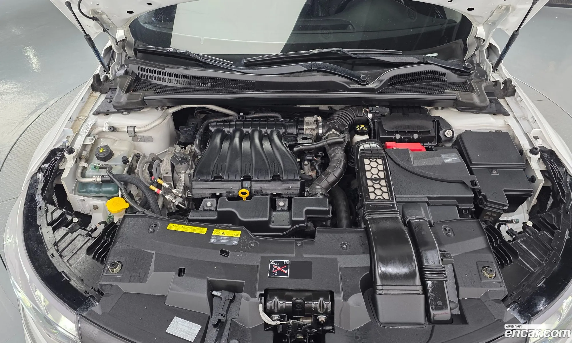 Renault Korea (Samsung) SM6 2017 — 15