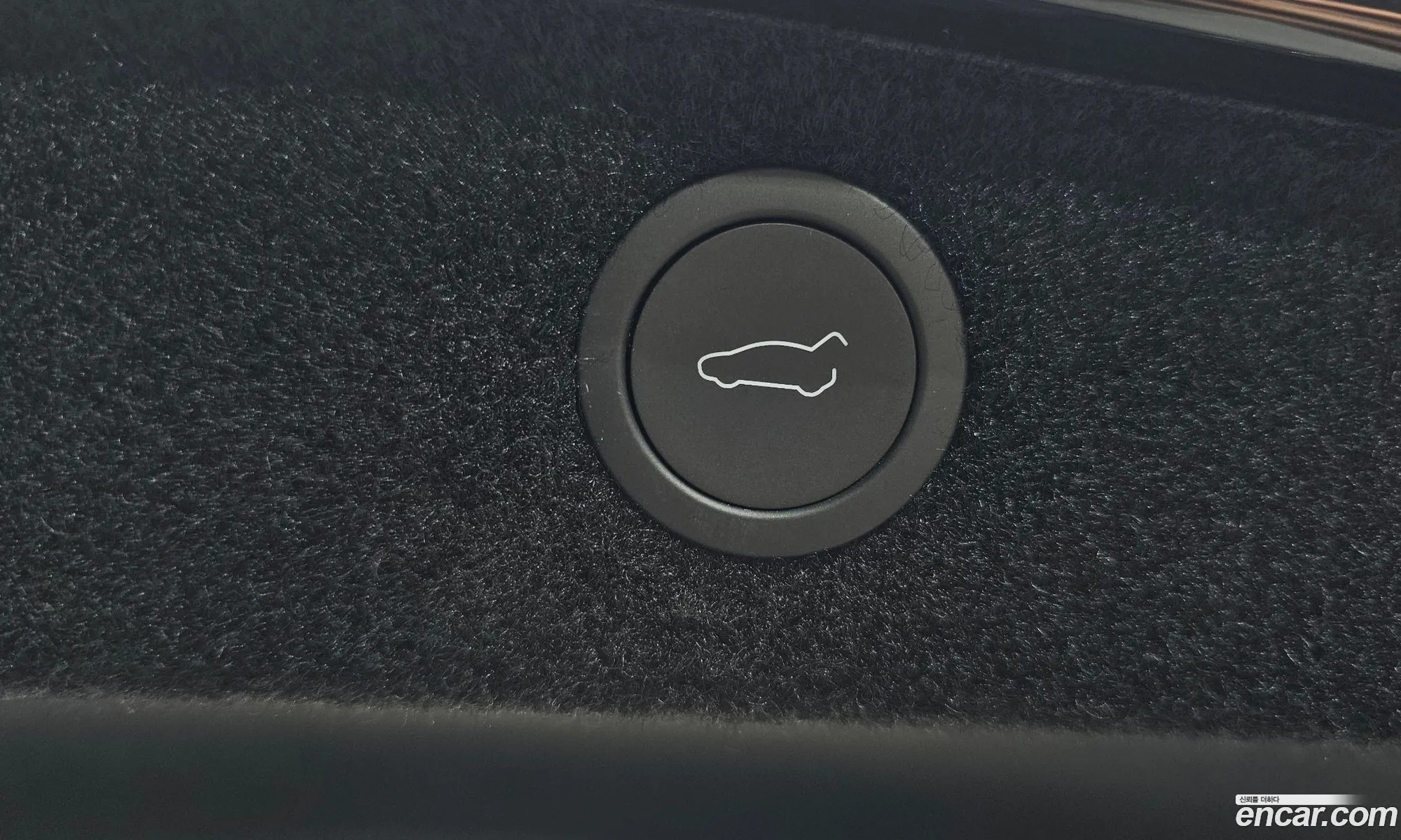 Tesla Model 3 2025 LRW3E7FS7SC606314 — 31