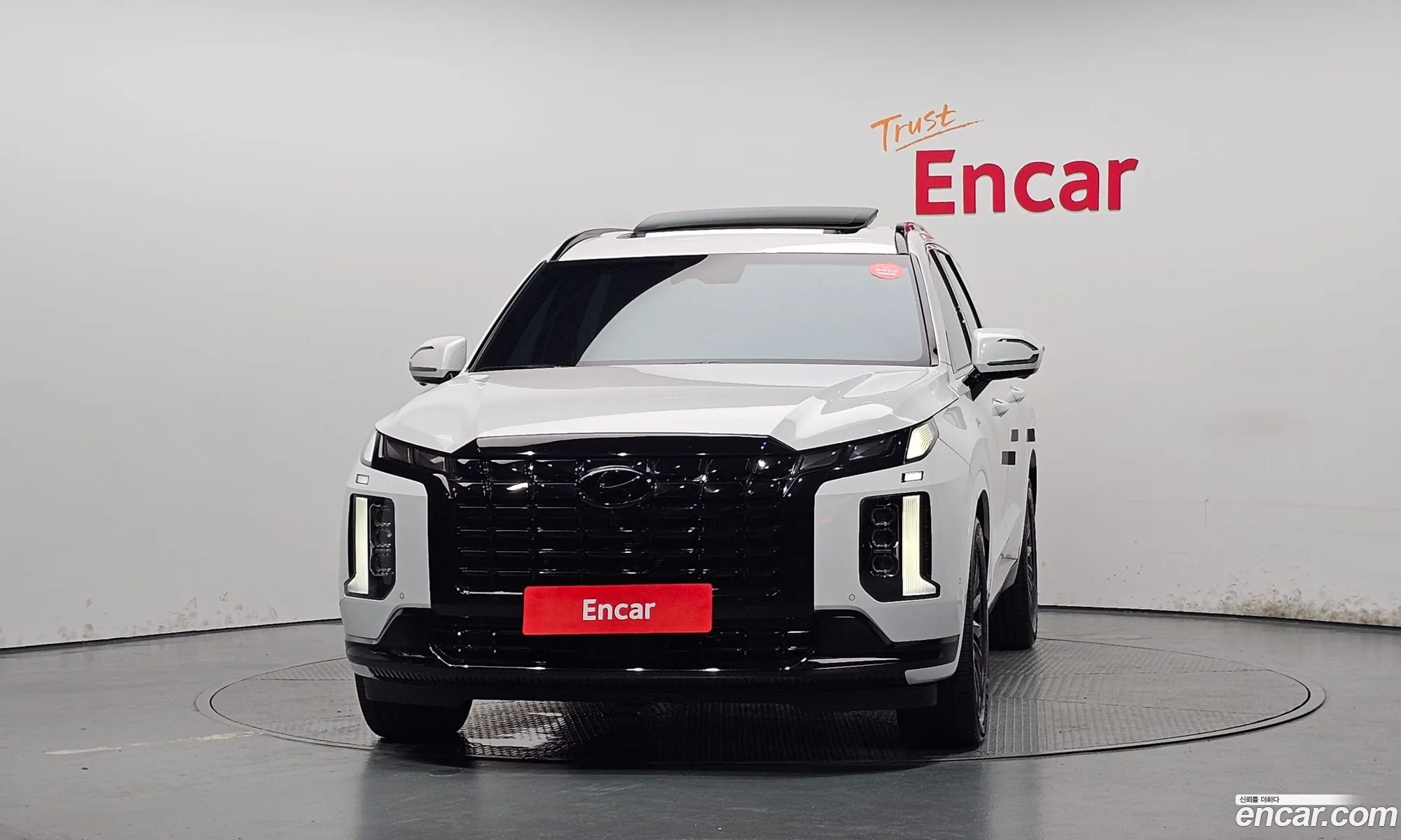 Hyundai Palisade 2024 KMHR581ADRU820403 — 14