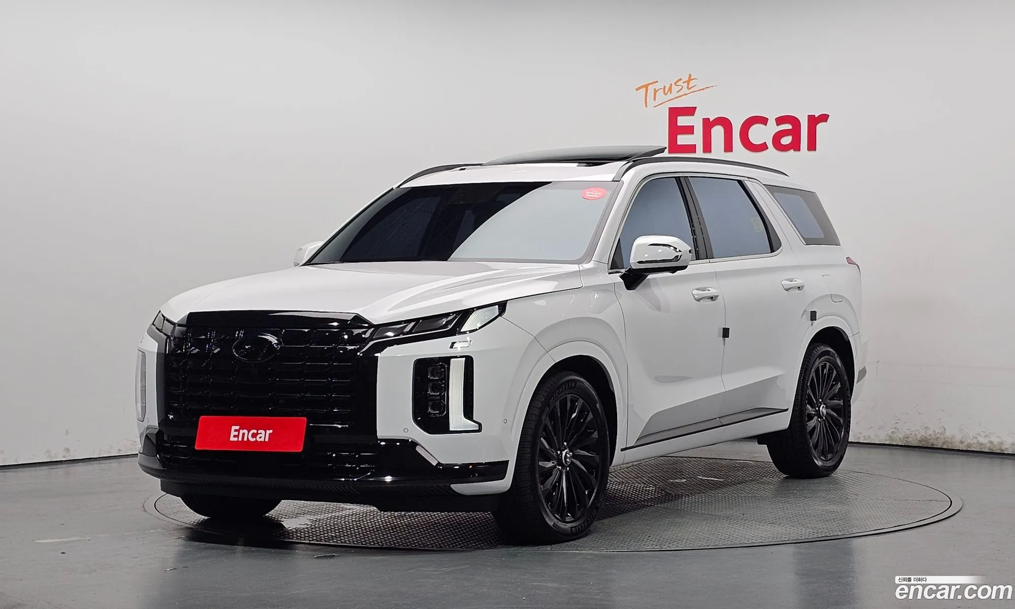 Hyundai Palisade 2024 KMHR581ADRU820403 — 3