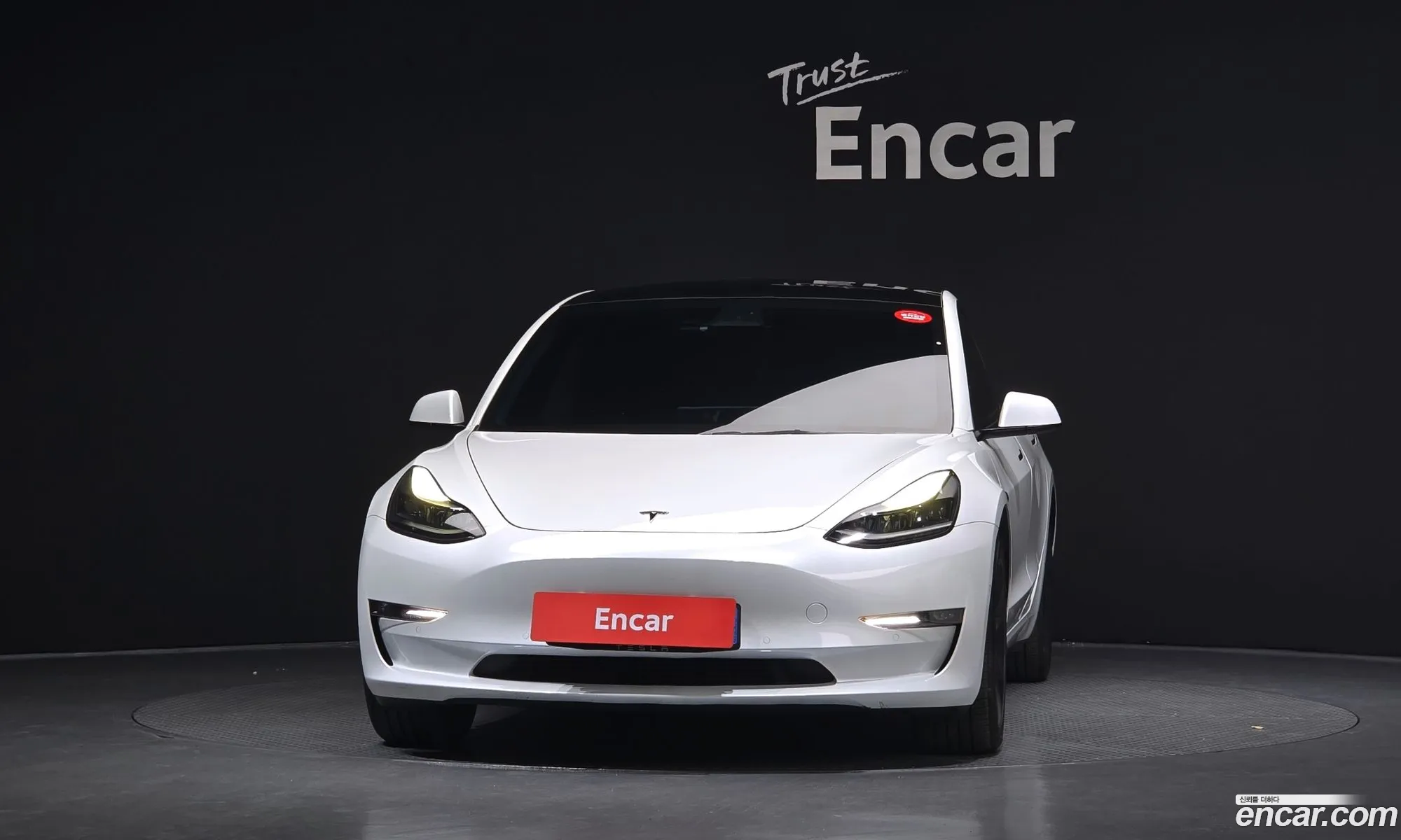 Tesla Model 3 2022 — 25