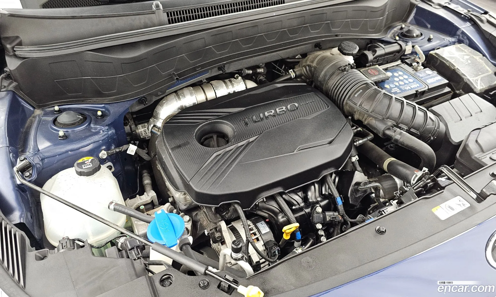 Kia Seltos 2019 KNAER812GLK021923 — 10