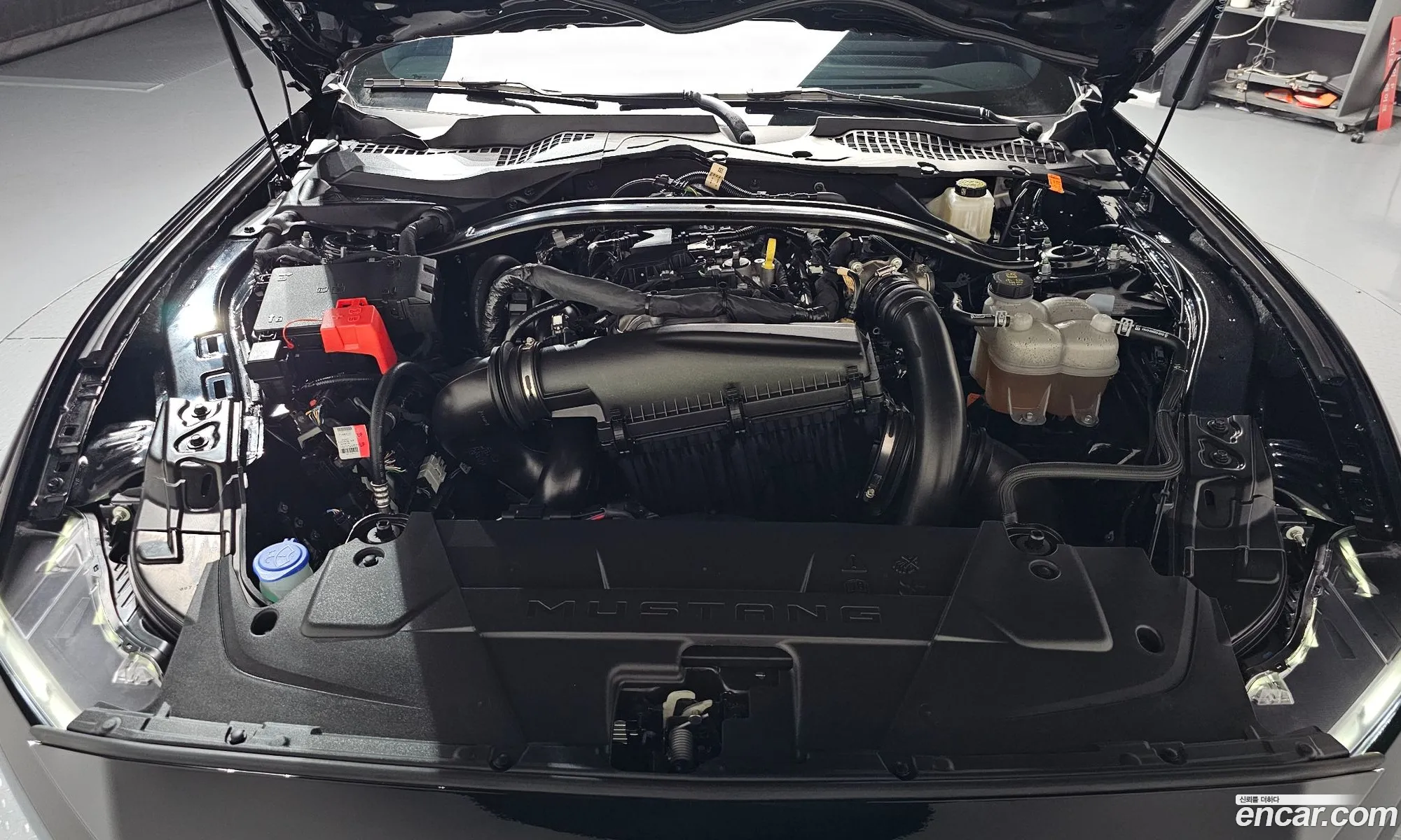 Ford Mustang 7th Gen 2024 — 25