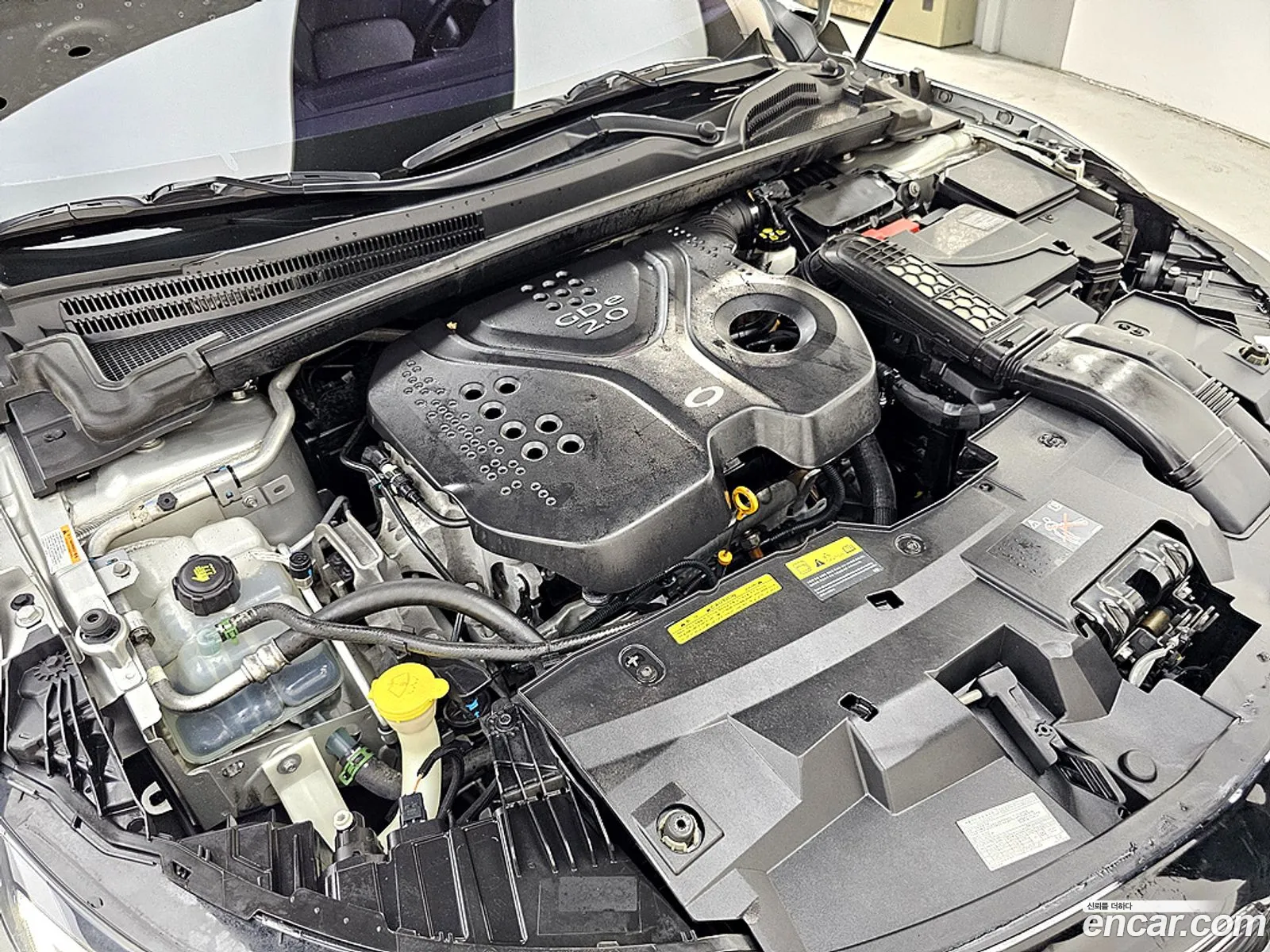 Renault Korea (Samsung) SM6 2016 — 7