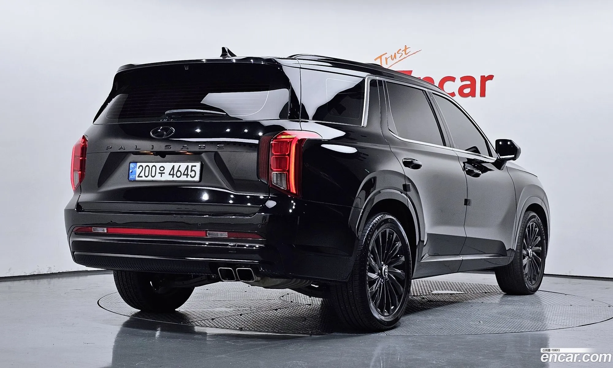 Hyundai Palisade 2024 — 17