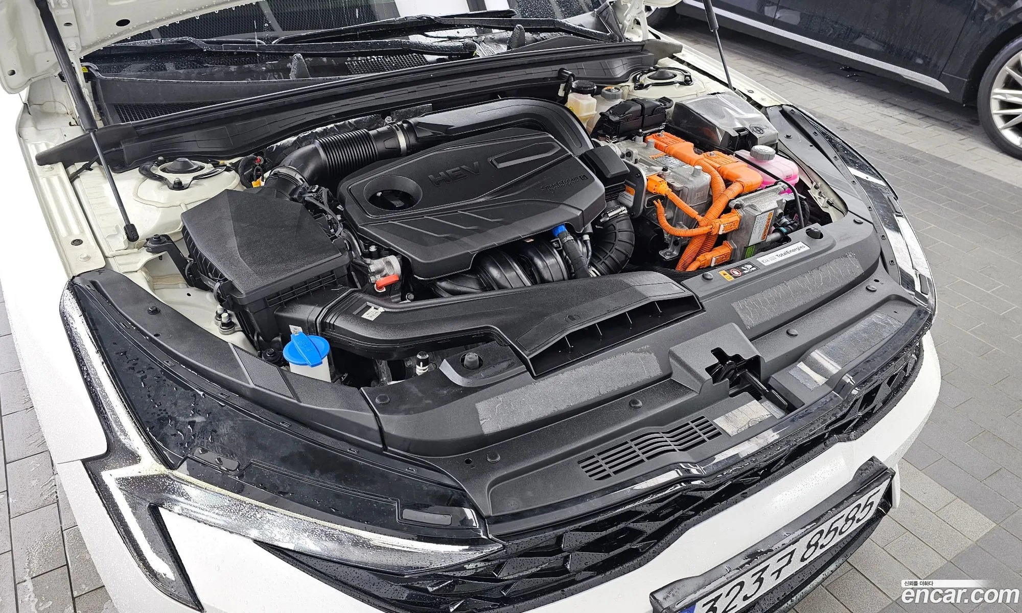 Kia K5 Hybrid 2025 — 12
