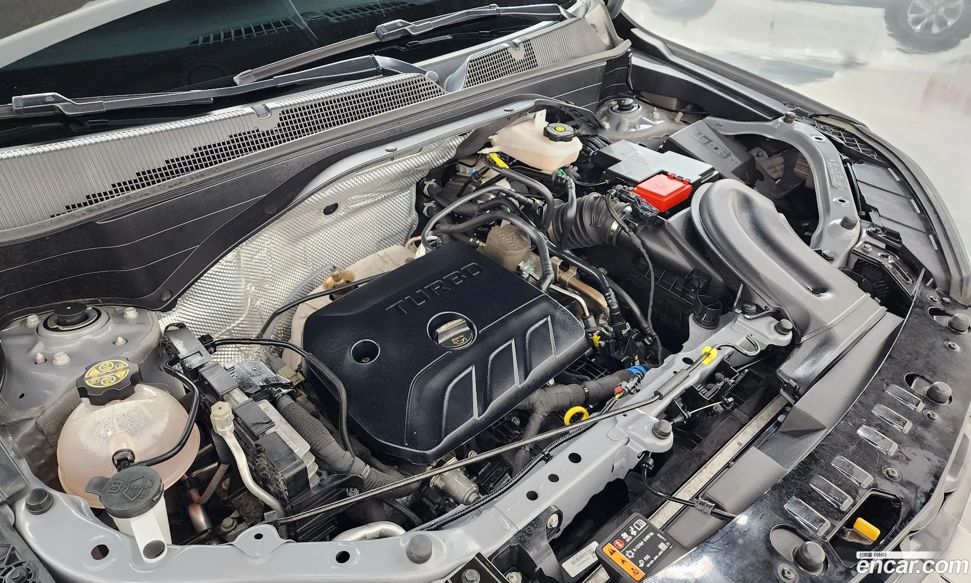Chevrolet (GM Daewoo) Trailblazer 2024 KLAPC56LDSB101769 — 24