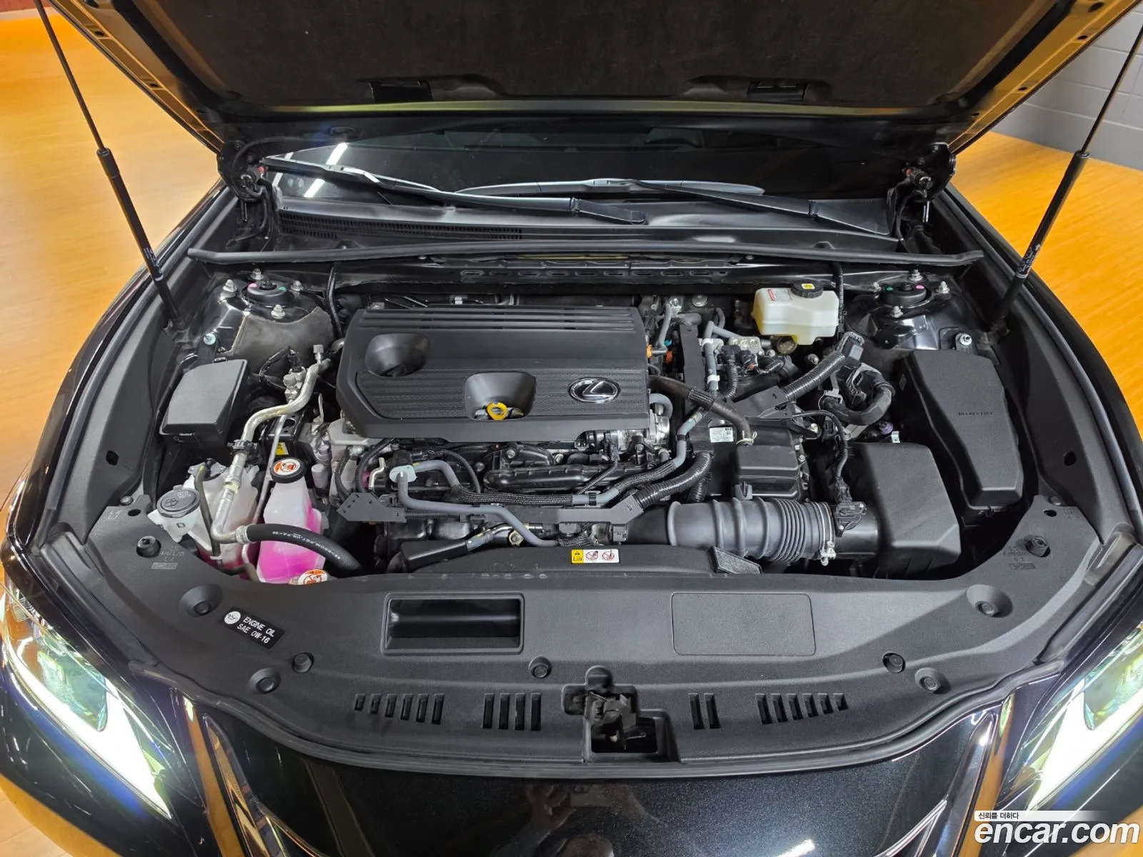 Lexus ES300h 7th Gen 2023 — 6
