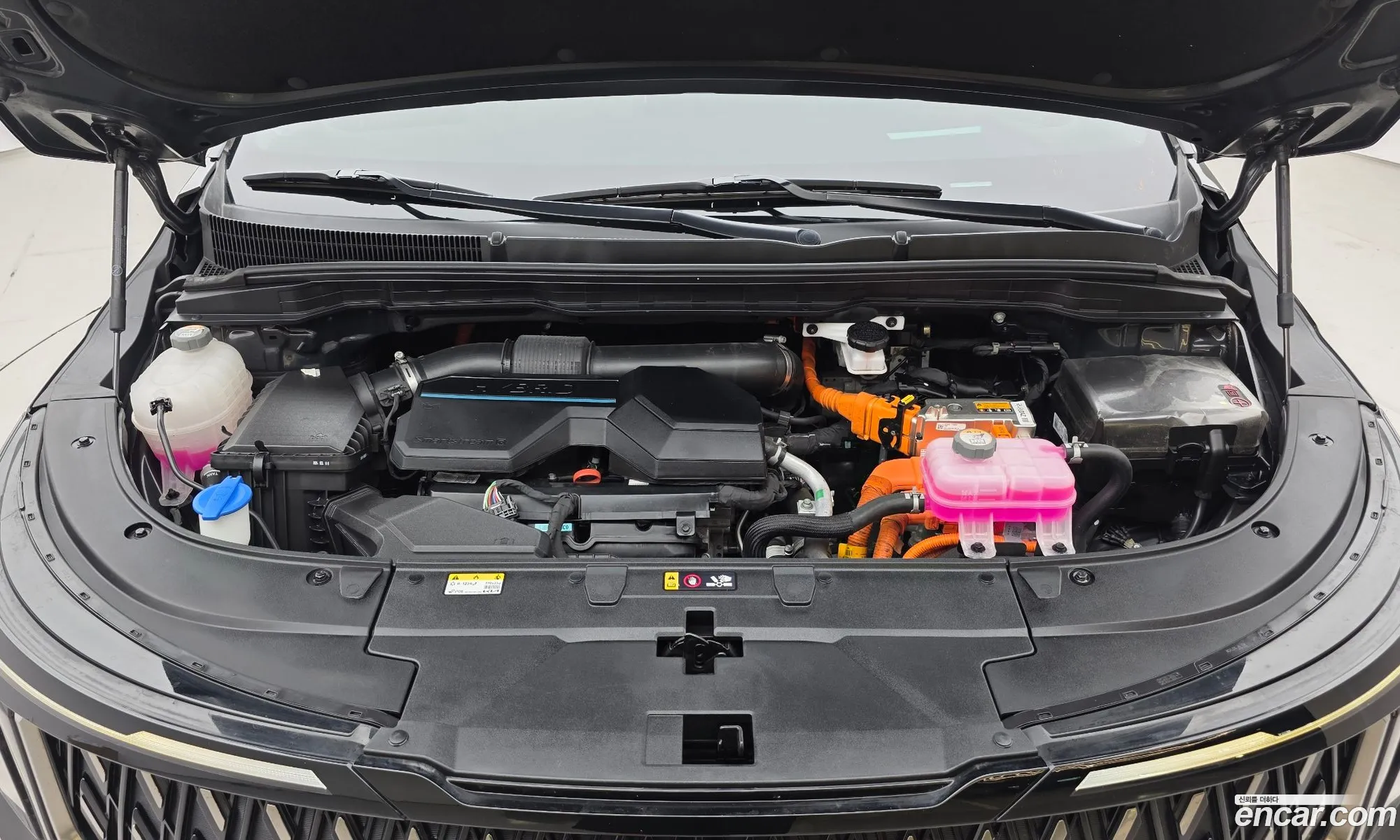 Kia Carnival 2024 KNANC81ABRS011931 — 17