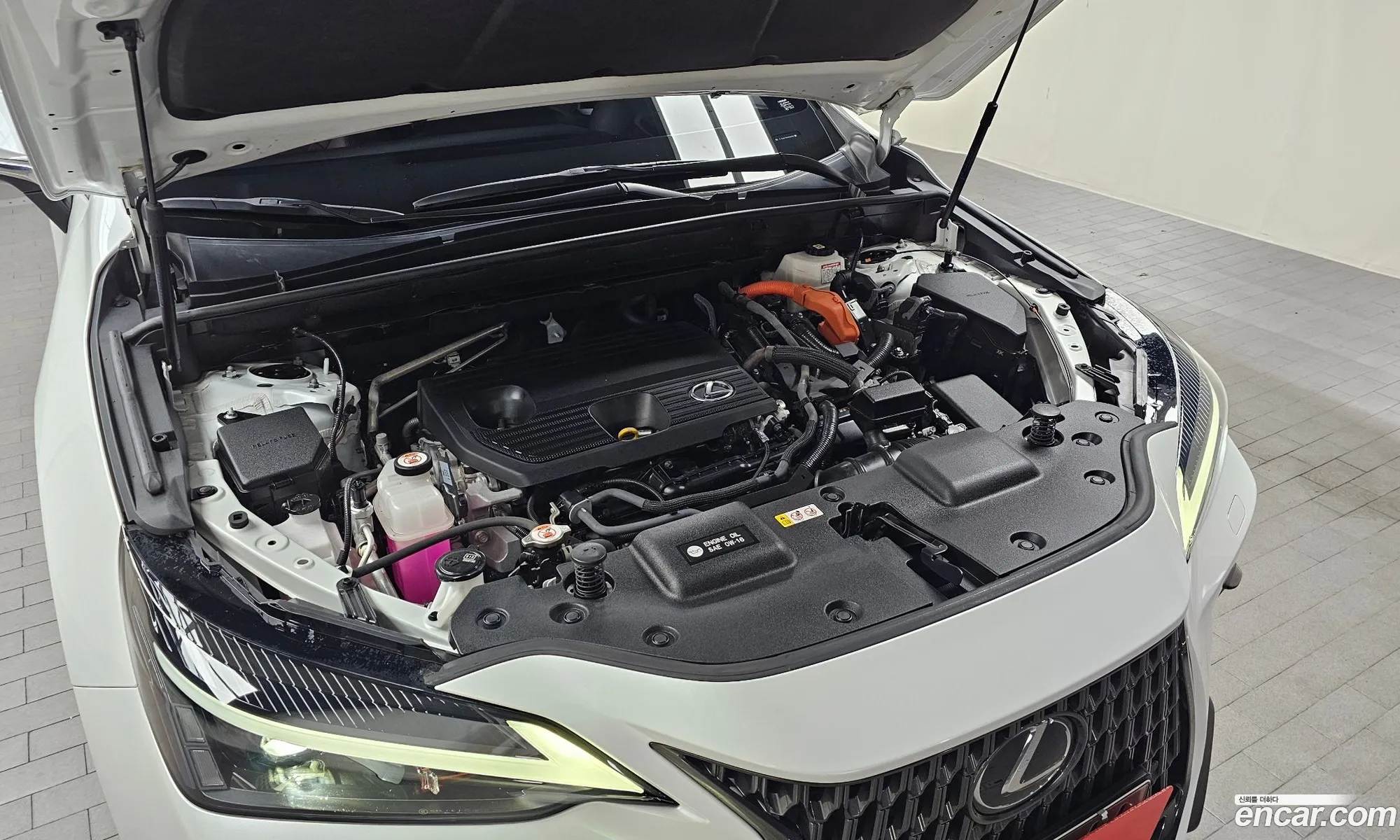 Lexus NX350h