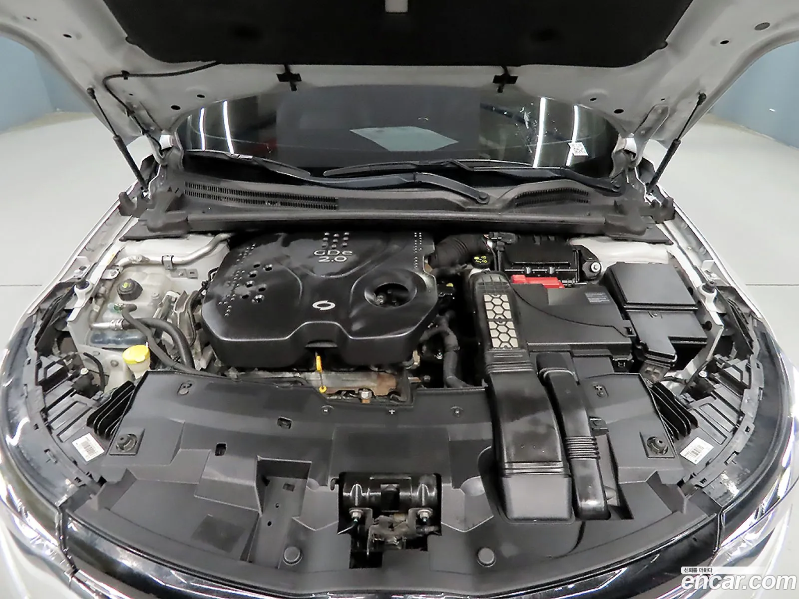 Renault Korea (Samsung) SM6 2018 — 16